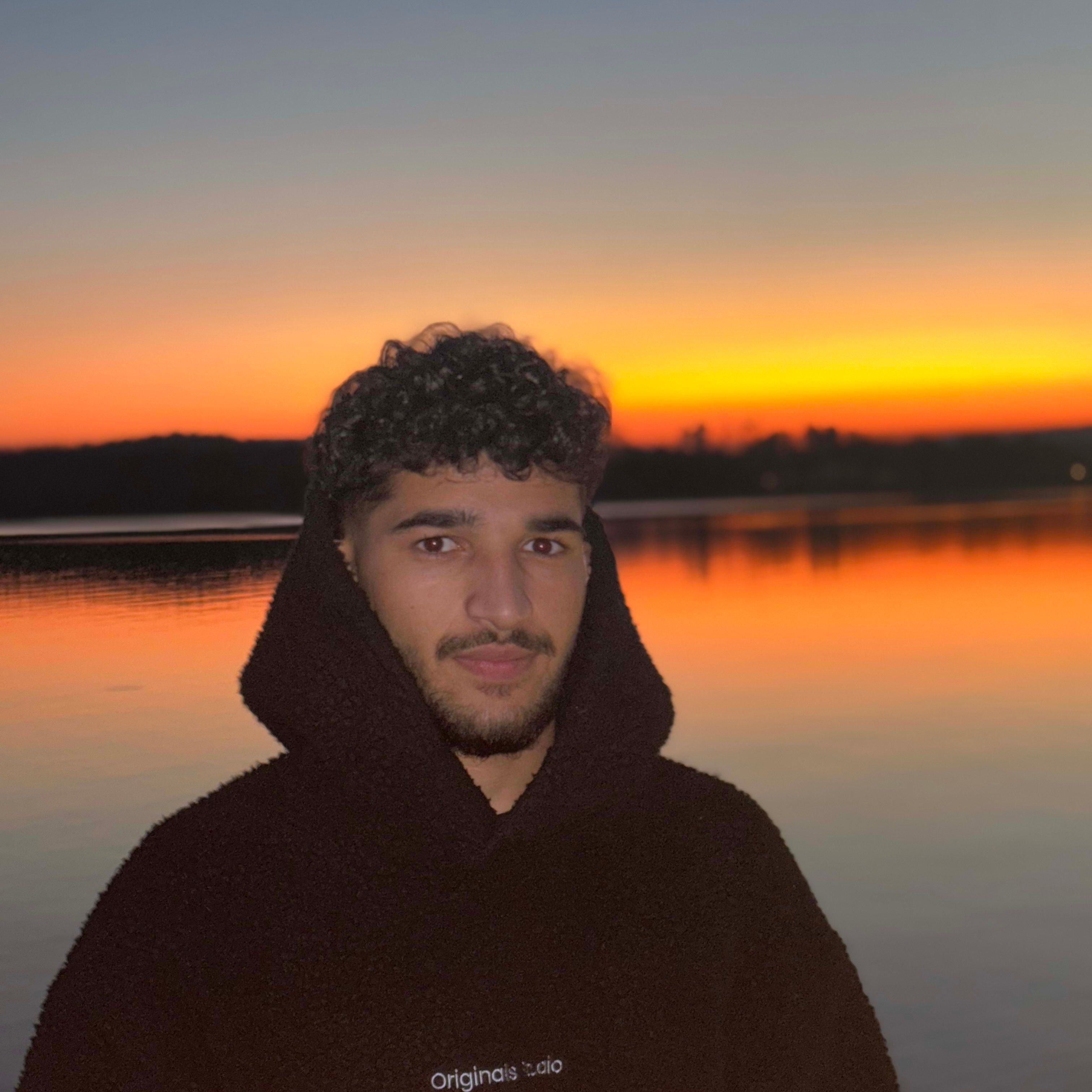 Profilbild för Pedram Rahimi