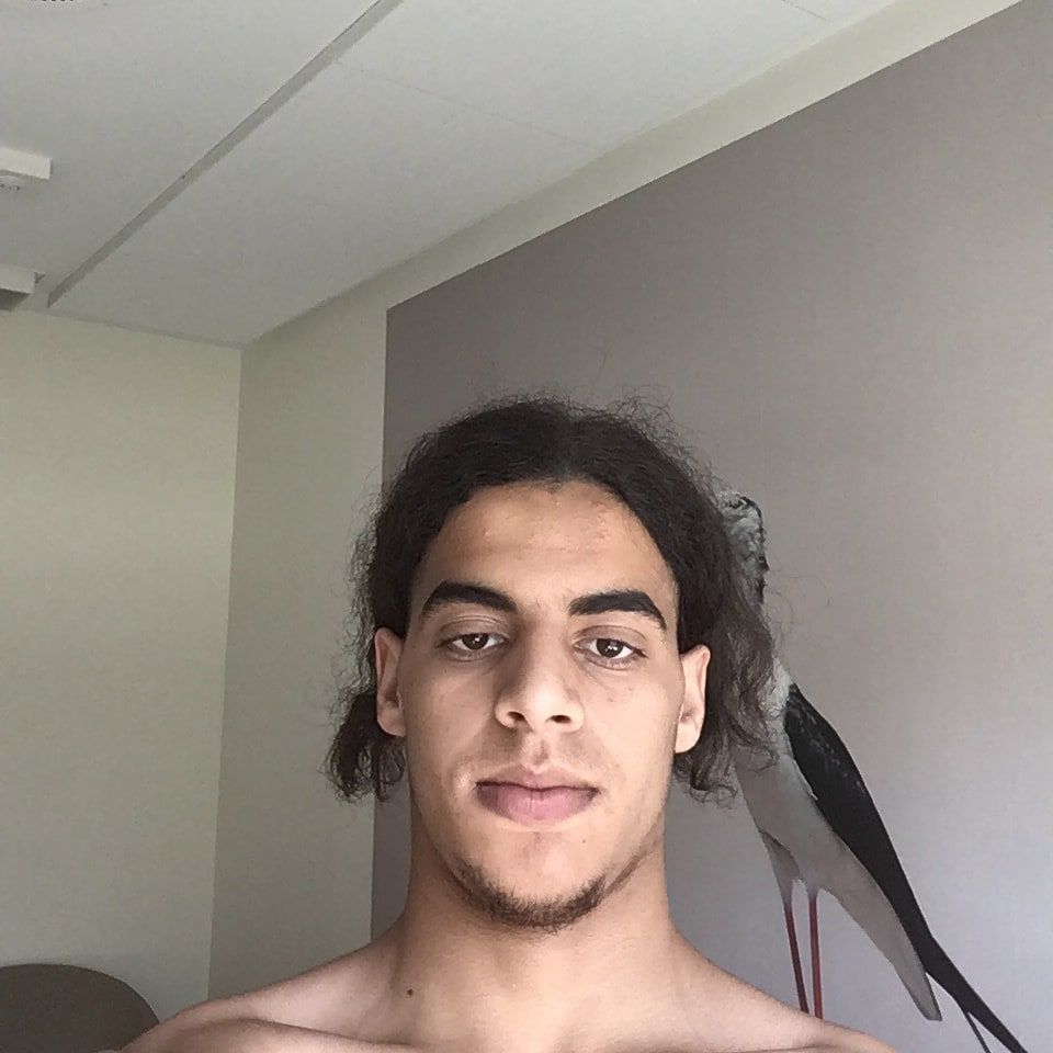 Profilbild för Hany Soboh