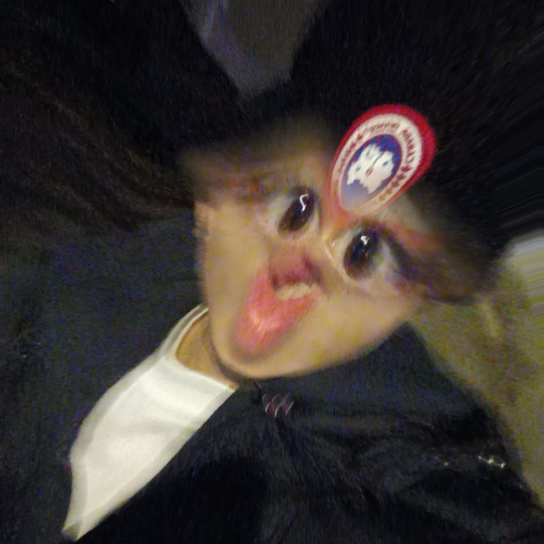 Profilbild för Mohamad Halaki