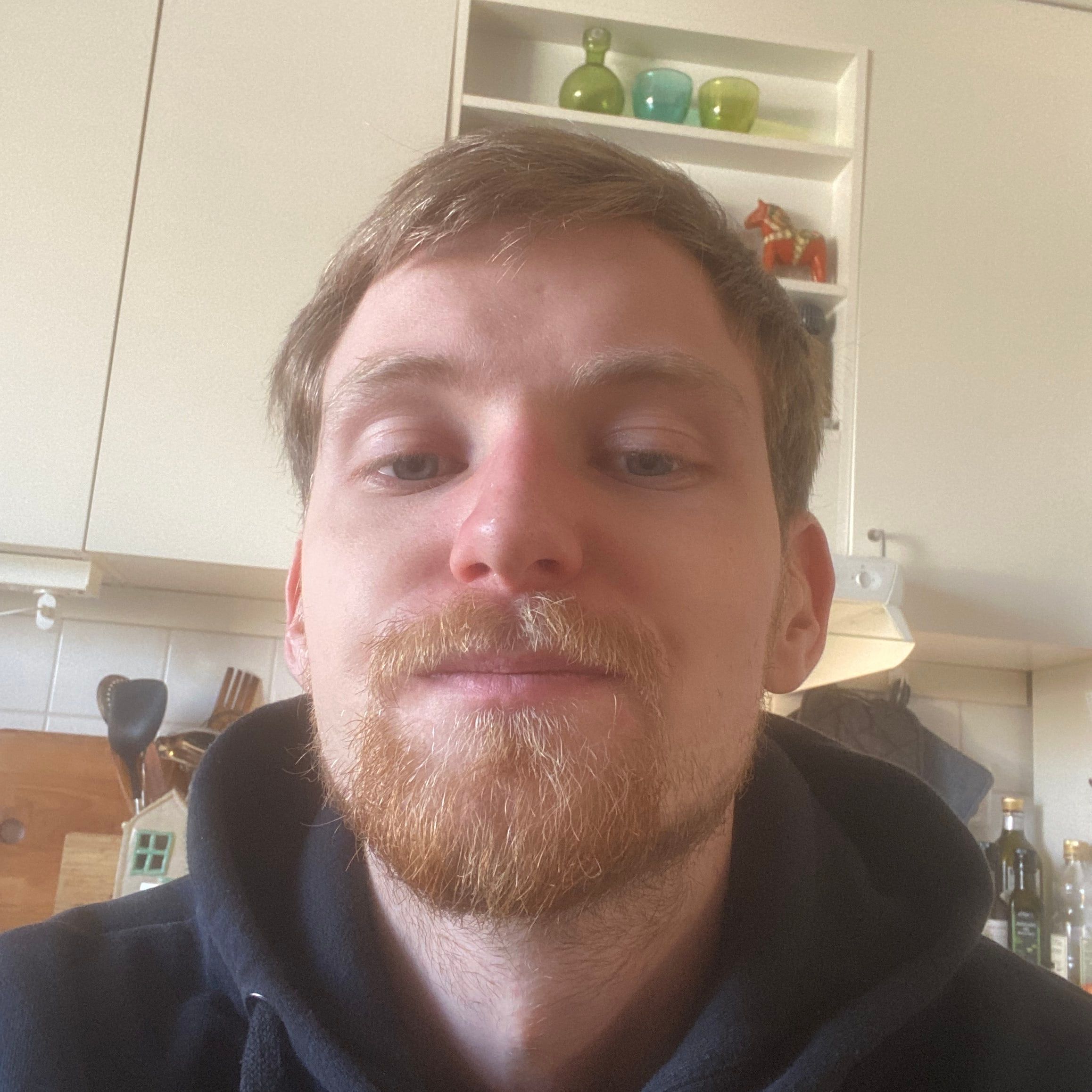 Profilbild för Theo Lektorp Magnusson