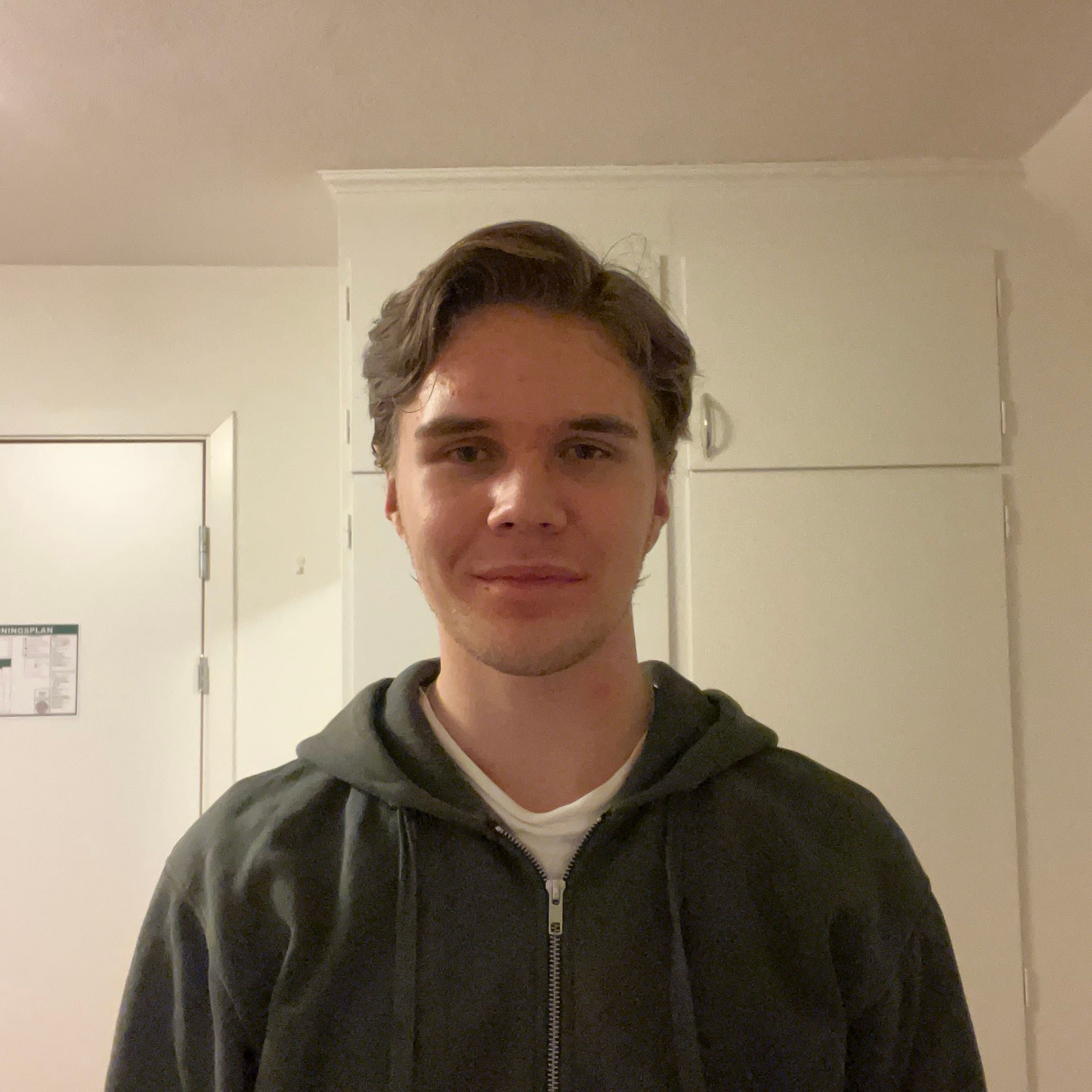 Profilbild för Hannes Elfvin Ericsson