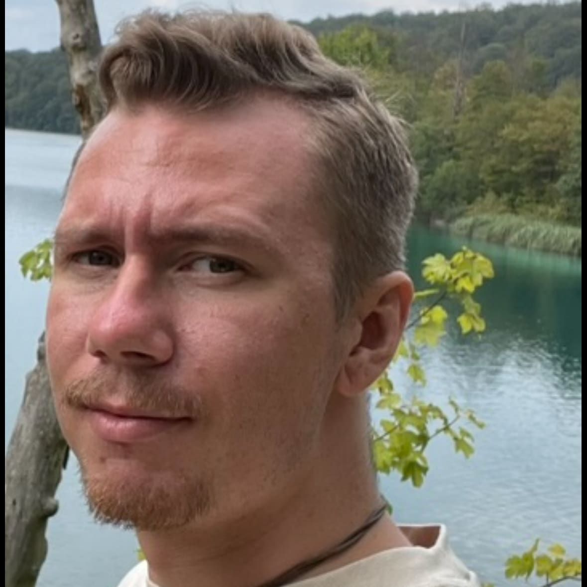 Profilbild för Adam Söderlund
