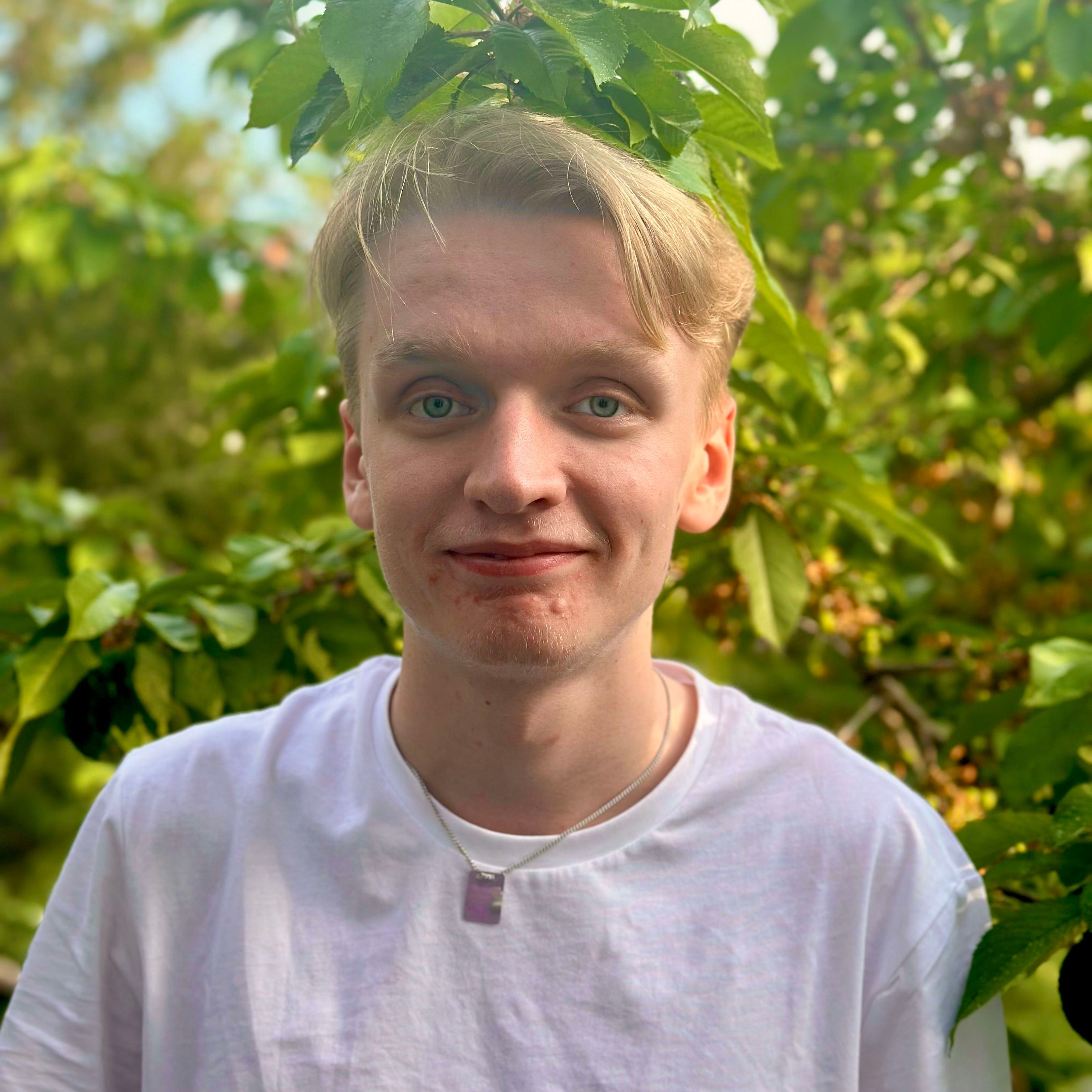 Profilbild för Arvid Sjödin