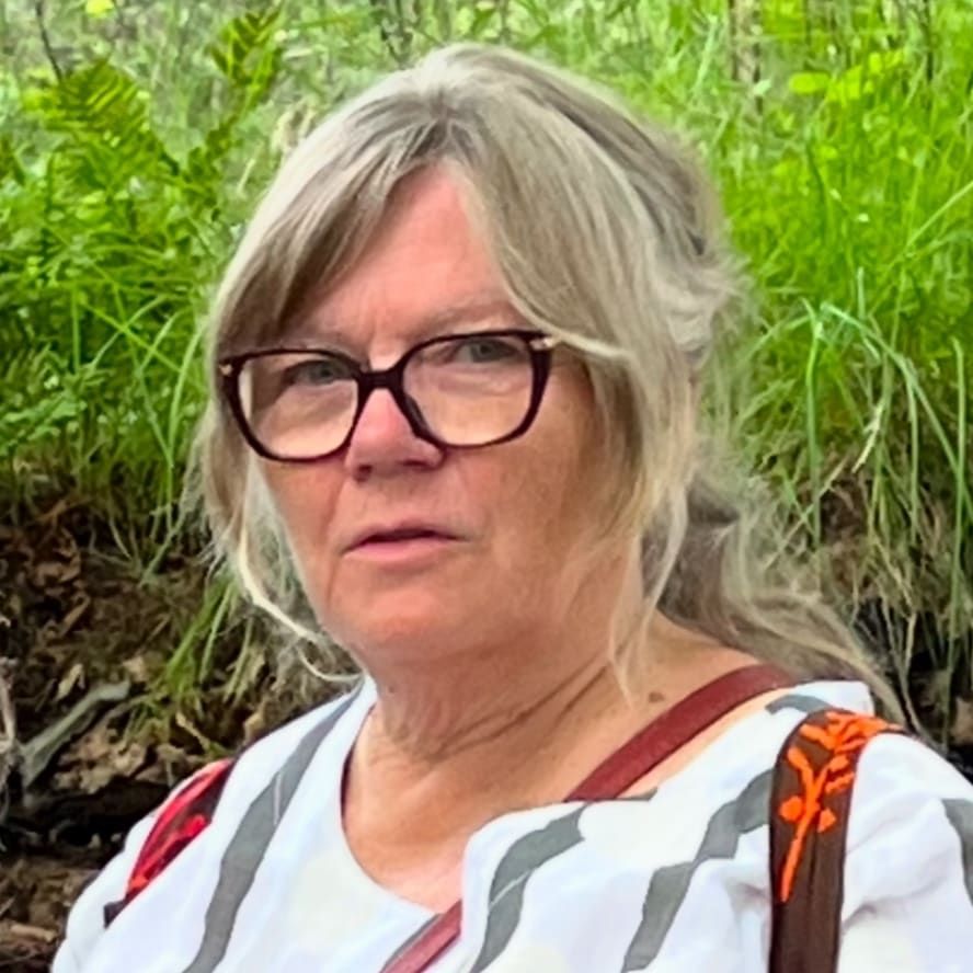 Profilbild för Birgitta Söderström