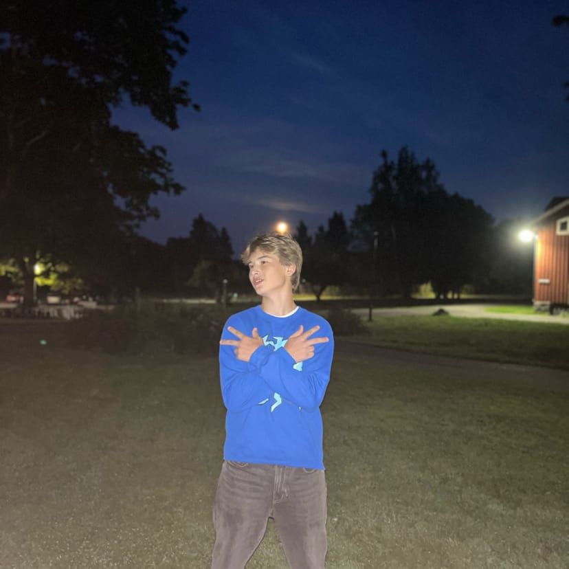 Profilbild för Karl Johansson