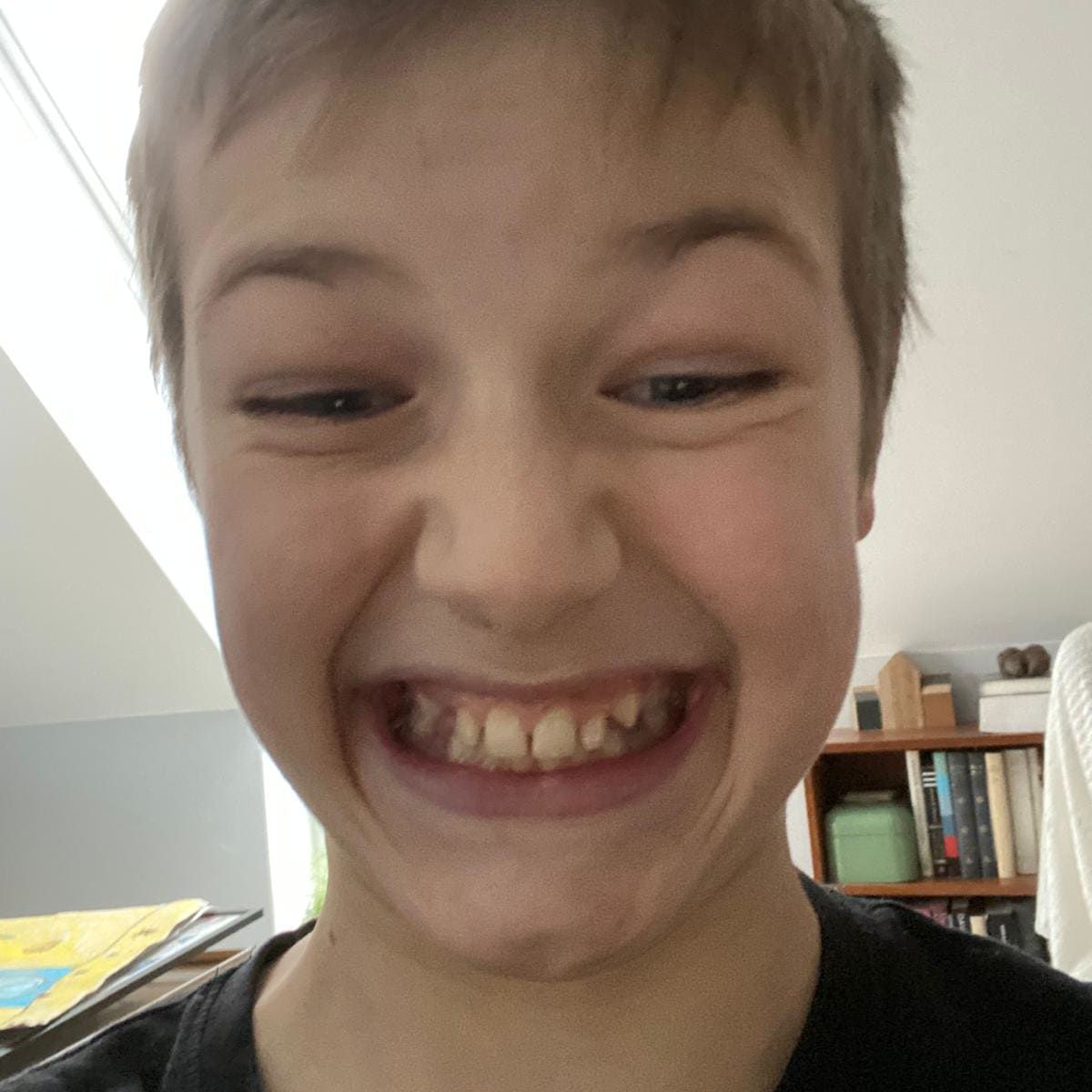 Profilbild för Erland Ekö