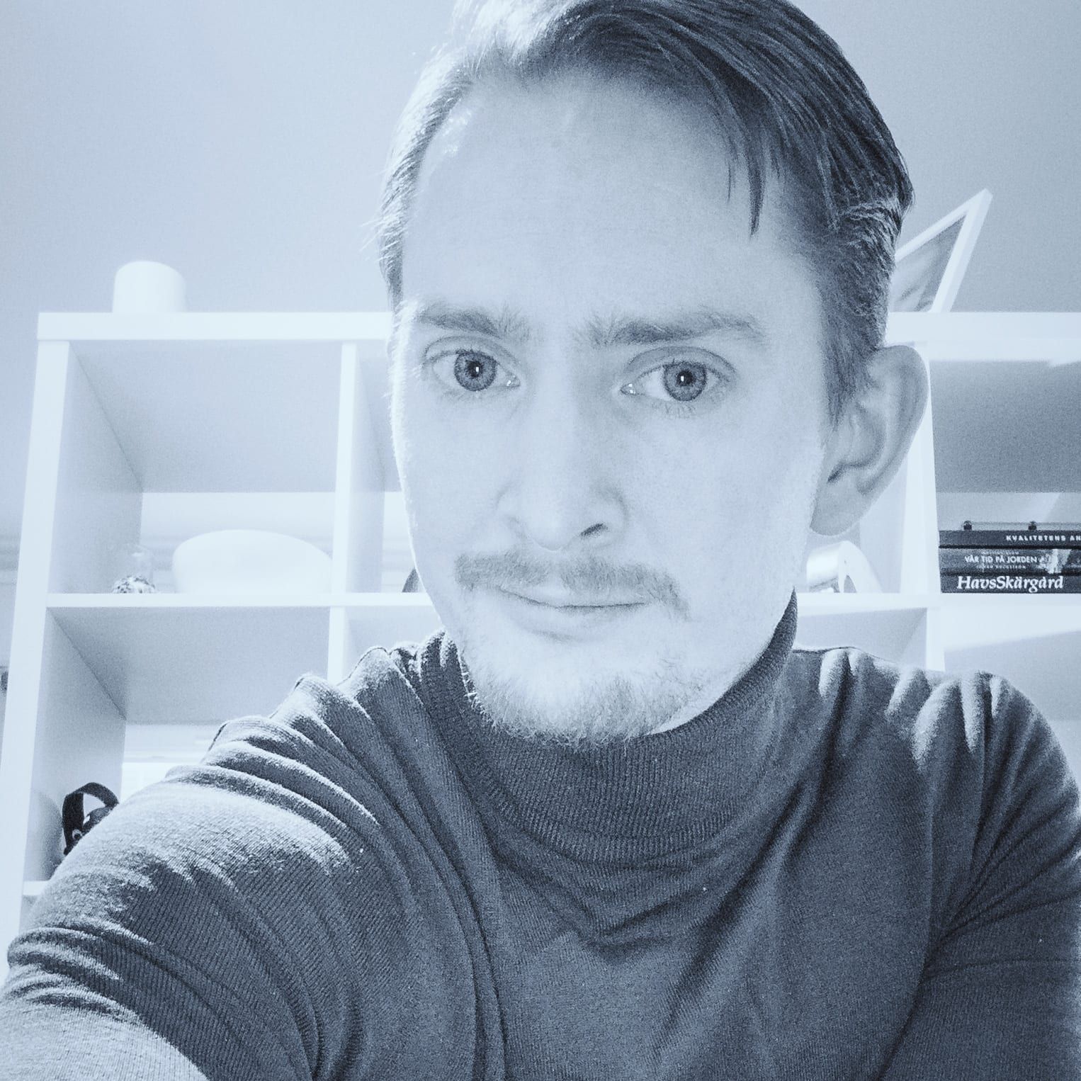 Profilbild för Joakim Höglund