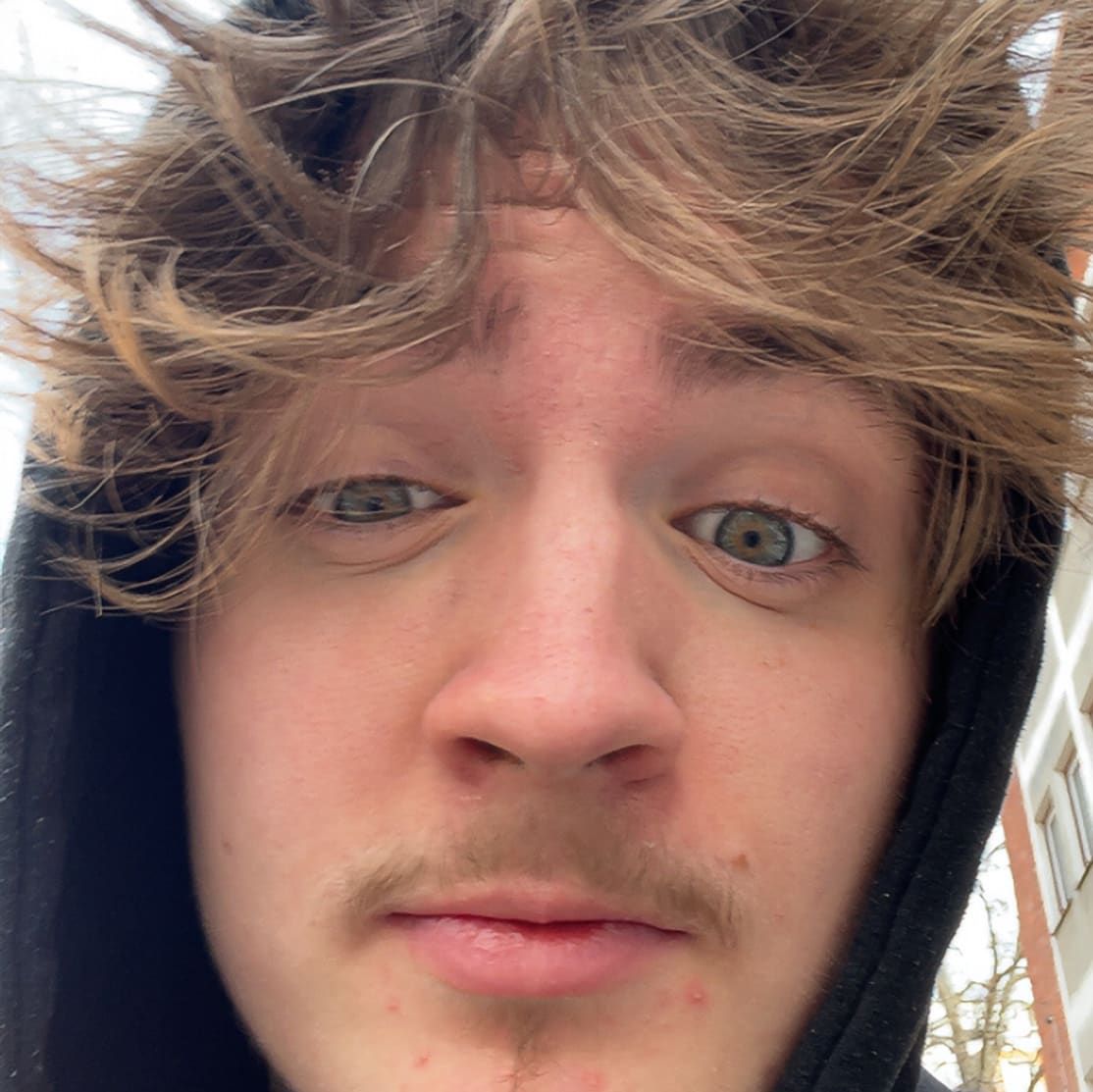 Profilbild för Neo Pettersson