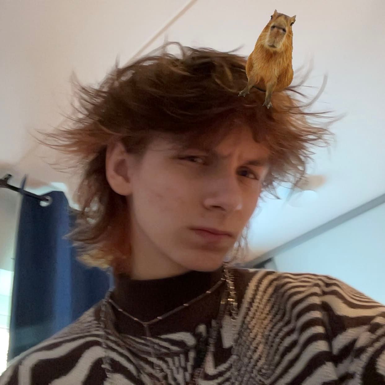 Profilbild för Alexander Dragunowicz