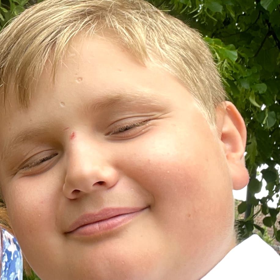 Profilbild för Theodore Karlsson Bara