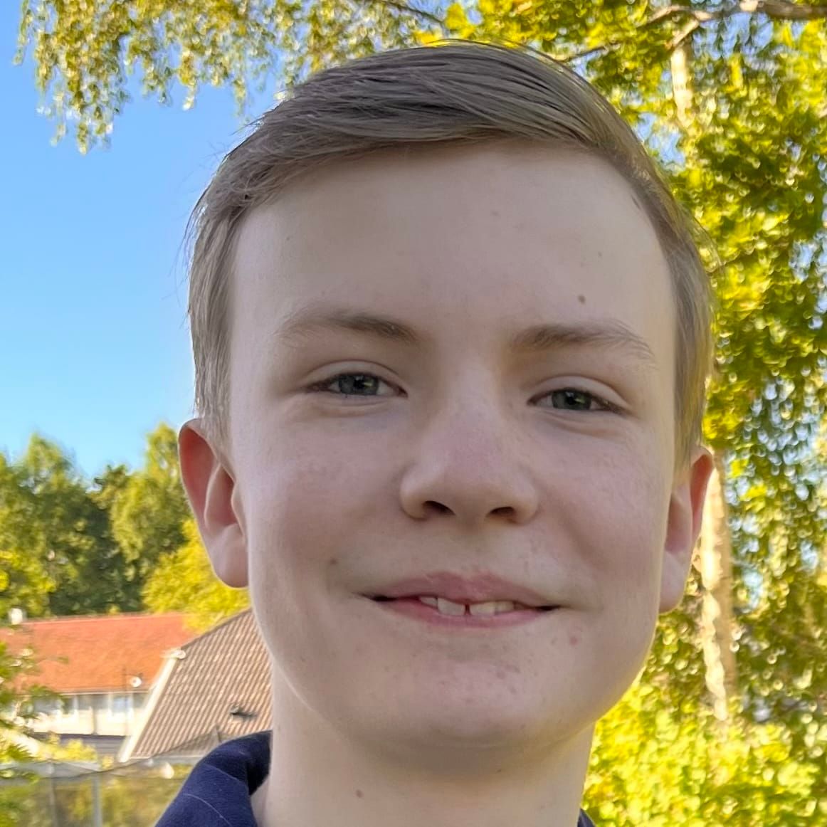 Profilbild för Albin Johansson
