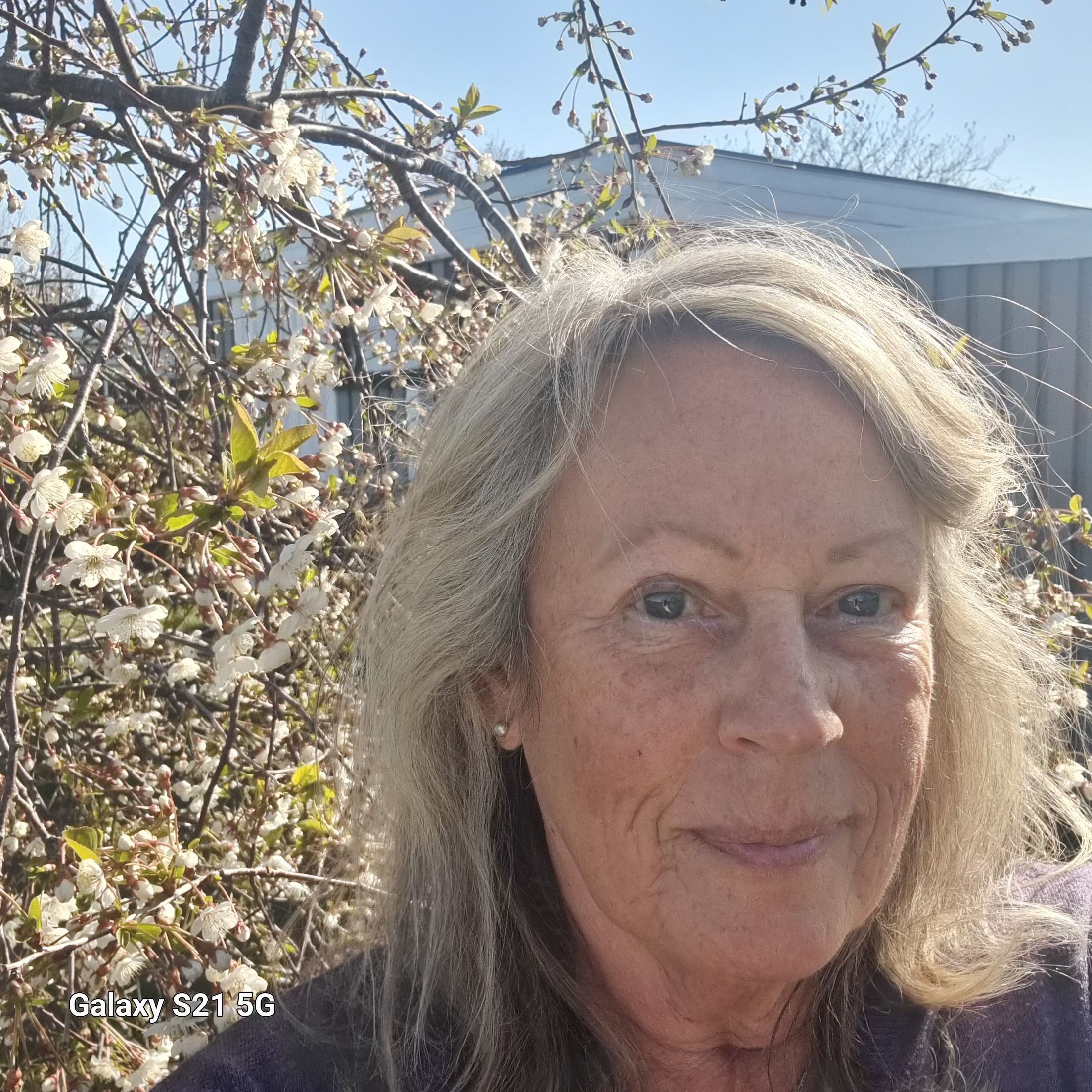 Profilbild för Pia Tell