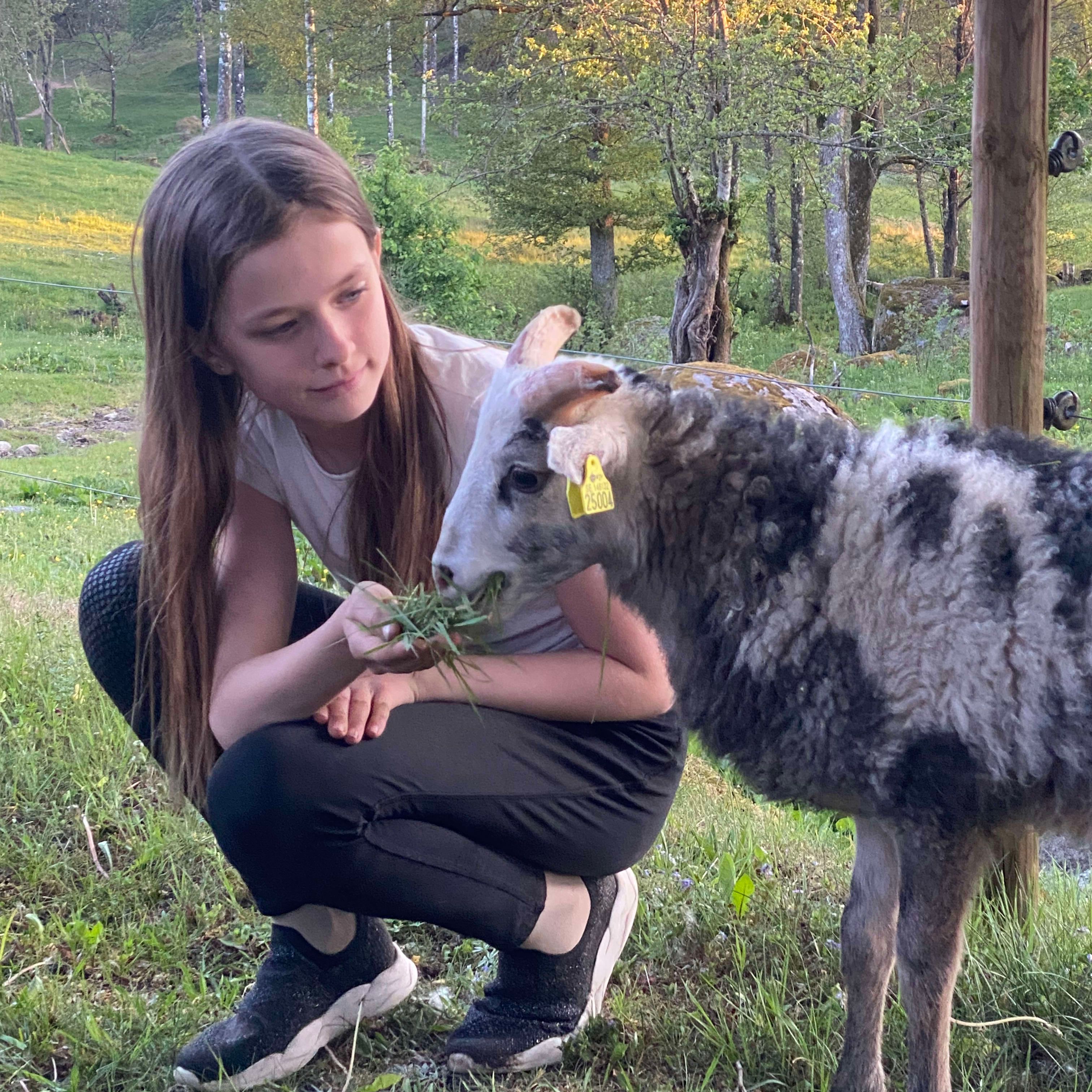 Profilbild för Cornelia Berver