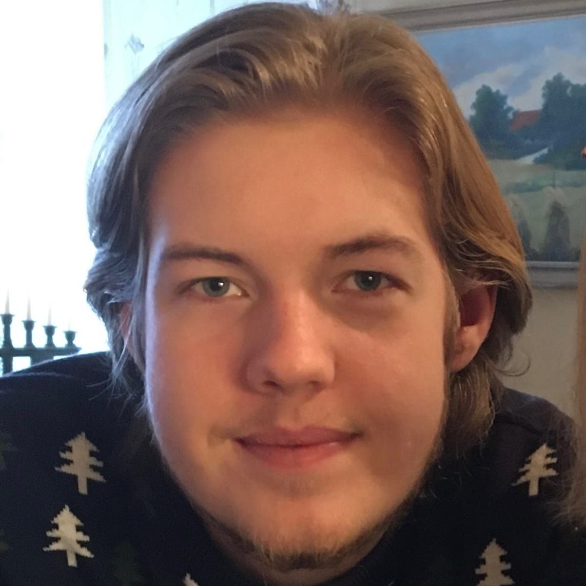 Profilbild för Viggo Vennerqvist