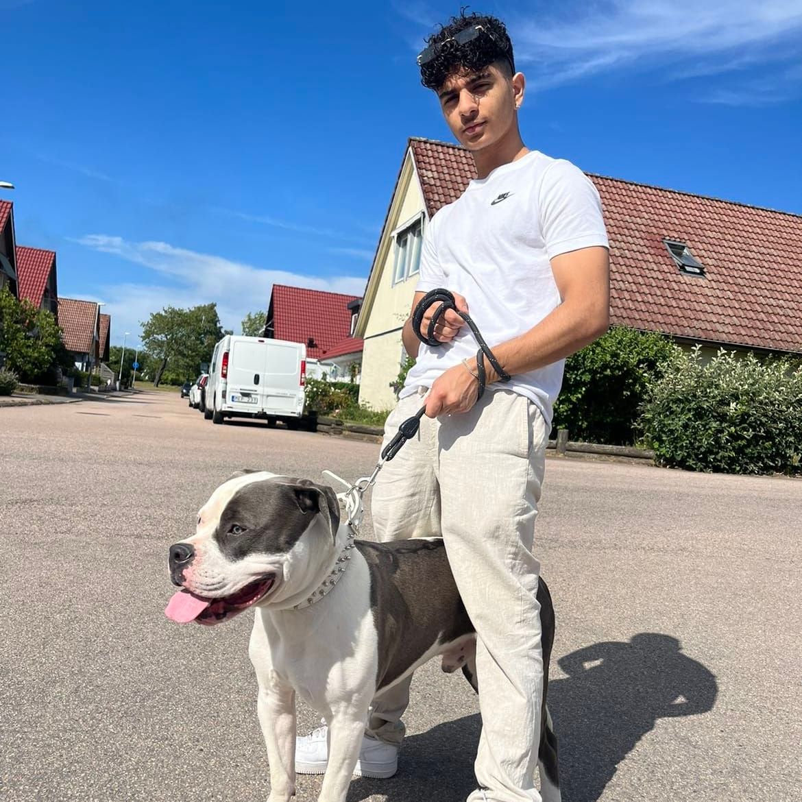 Profilbild för Shahin Samir