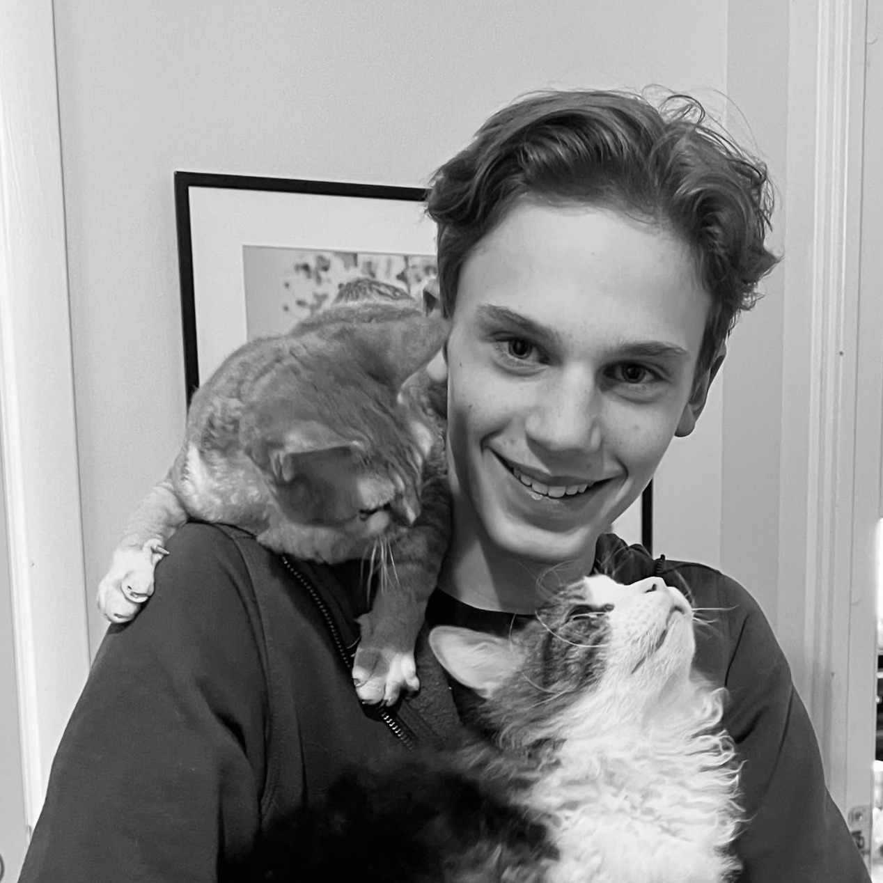 Profilbild för Gustav Lundström Johansson