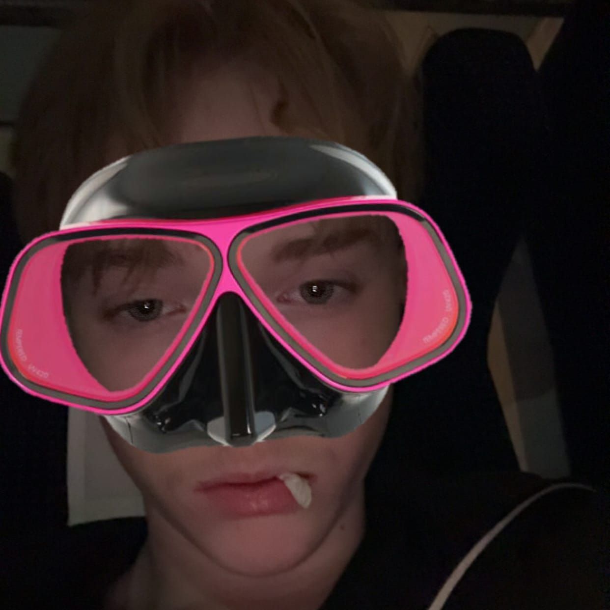 Profilbild för Adam Santesson