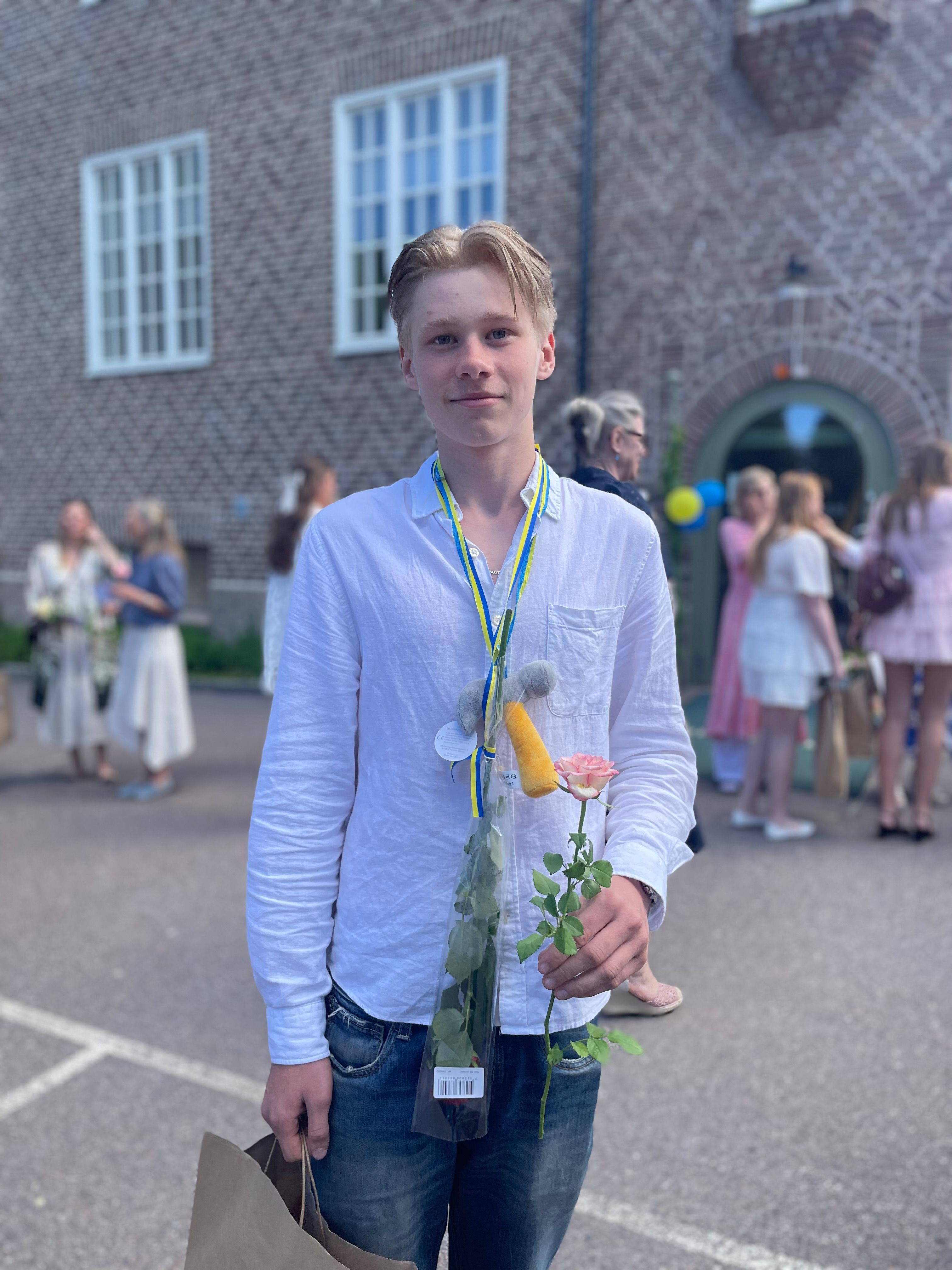 bild 4}