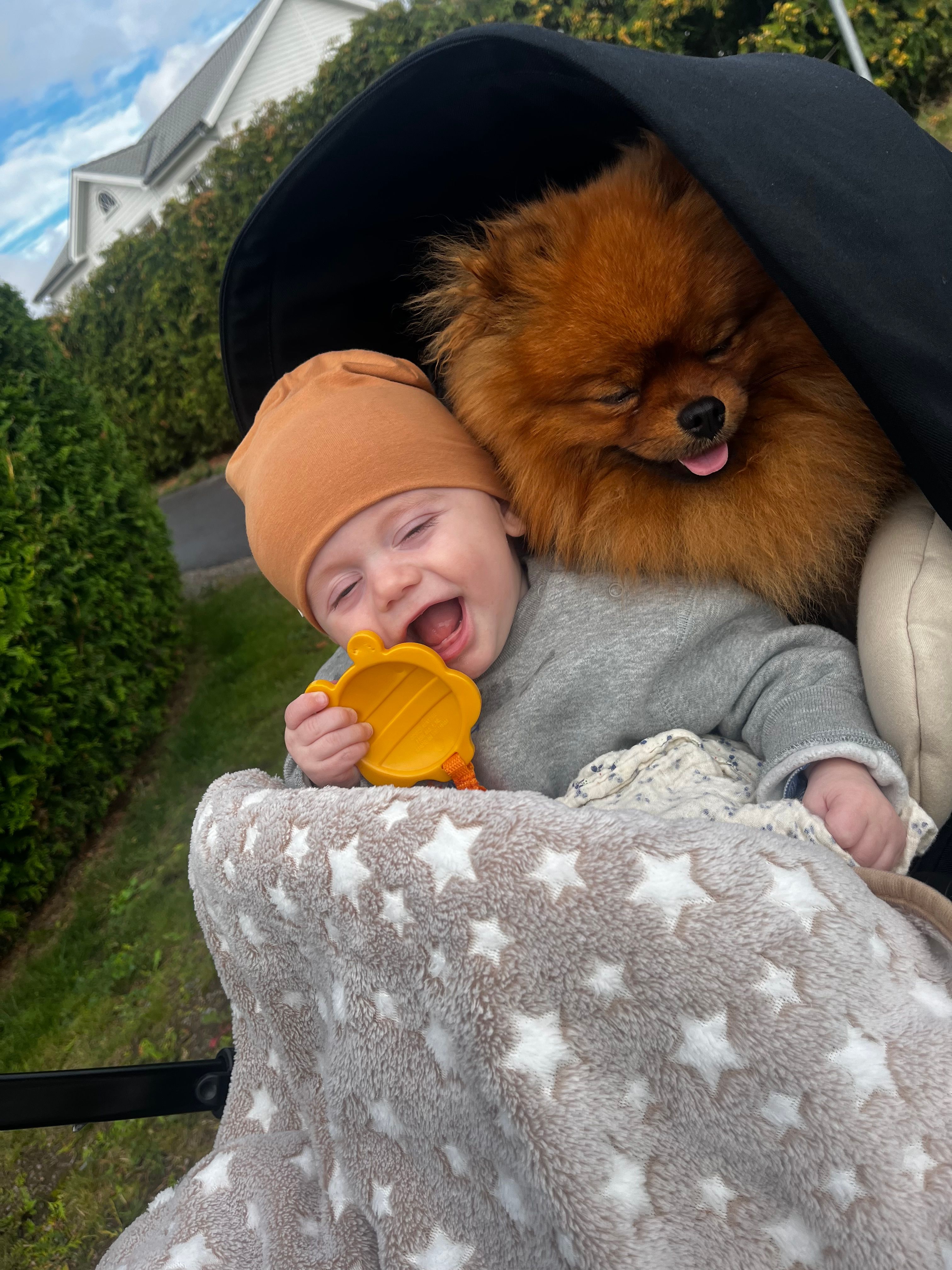 bild 3}