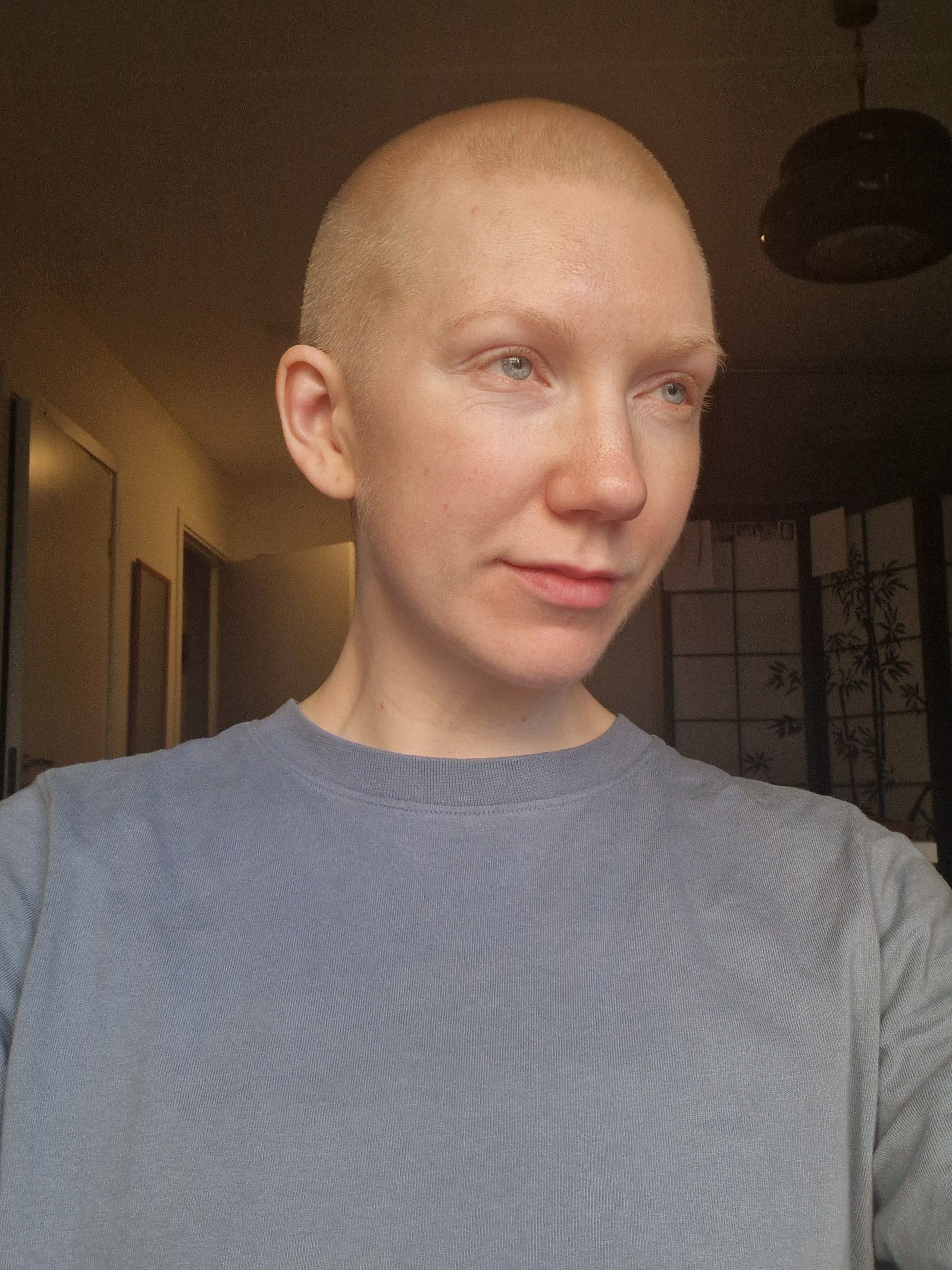 bild 1}