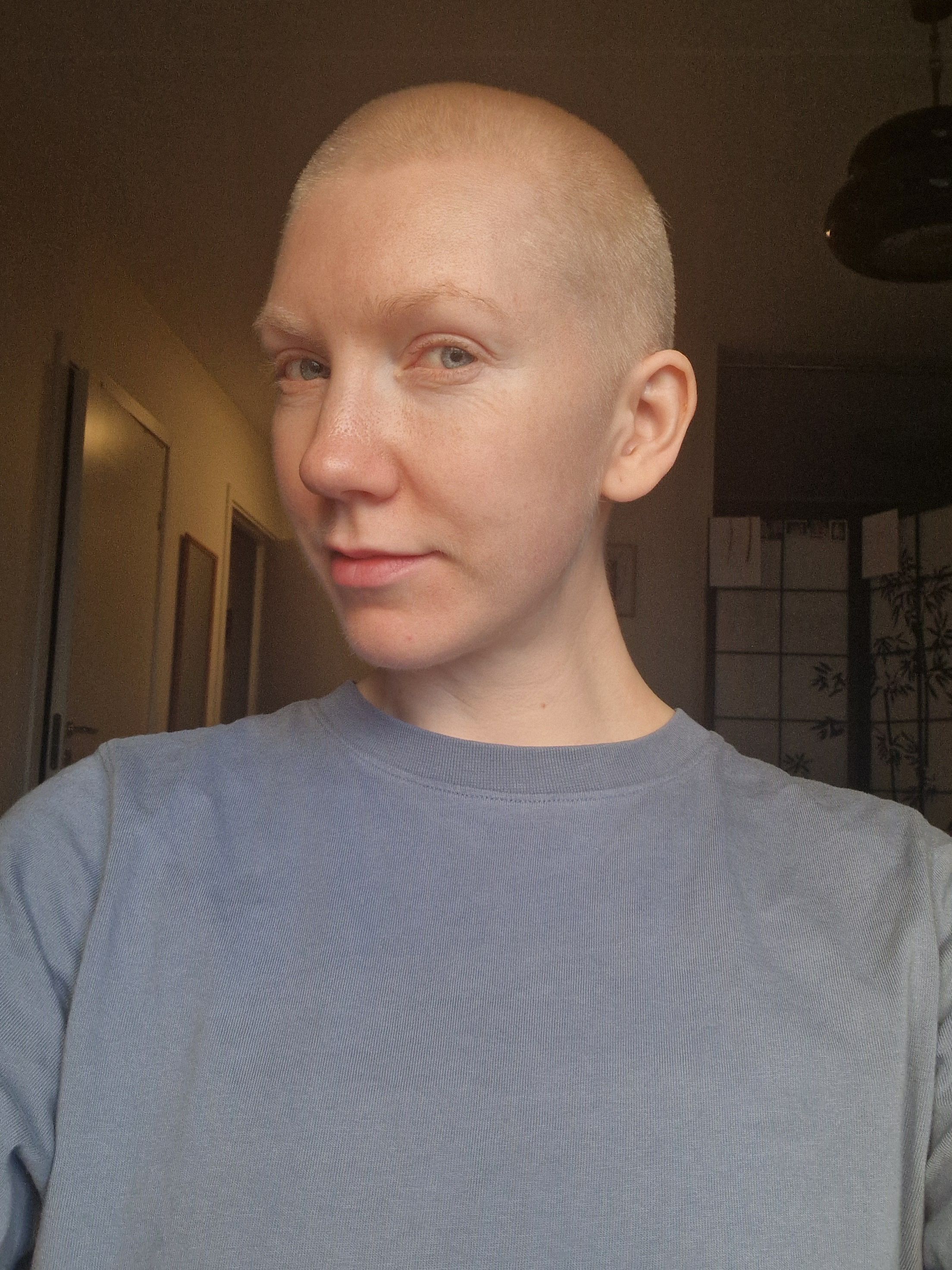 bild 2}