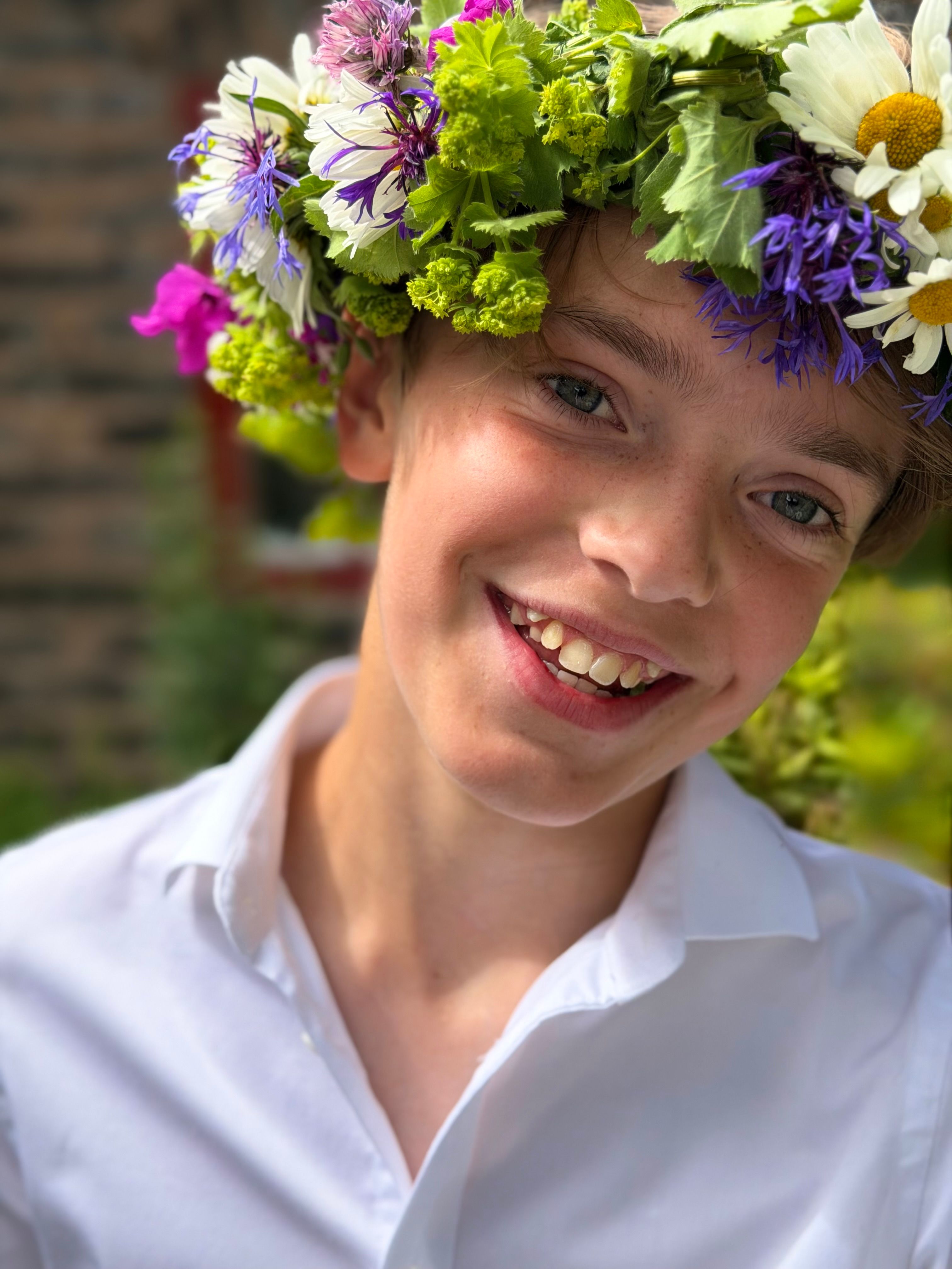bild 2}