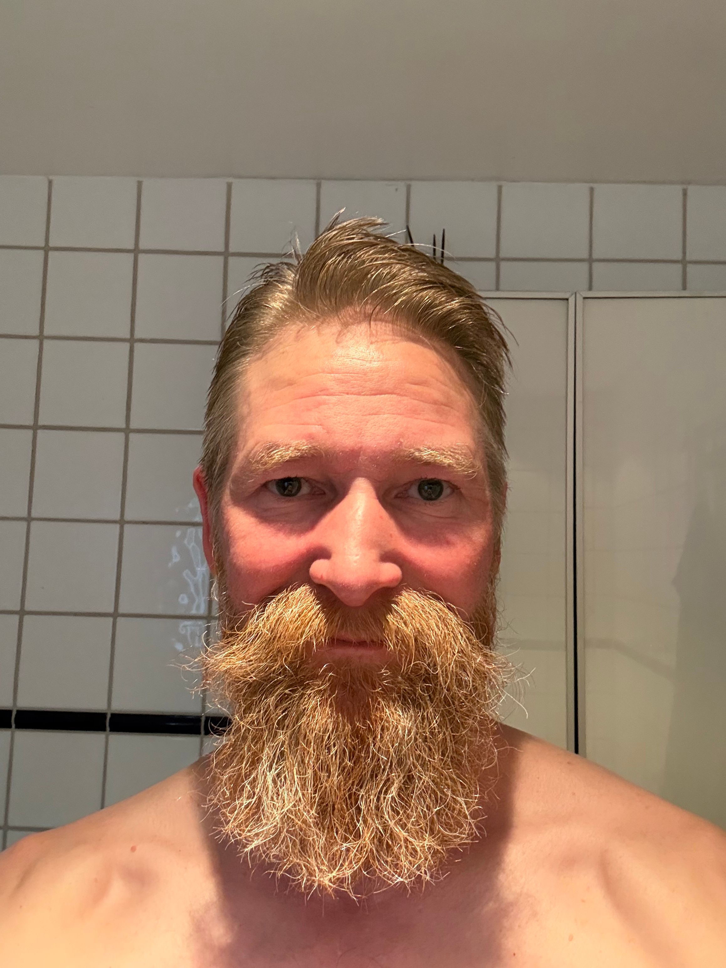 bild 4}