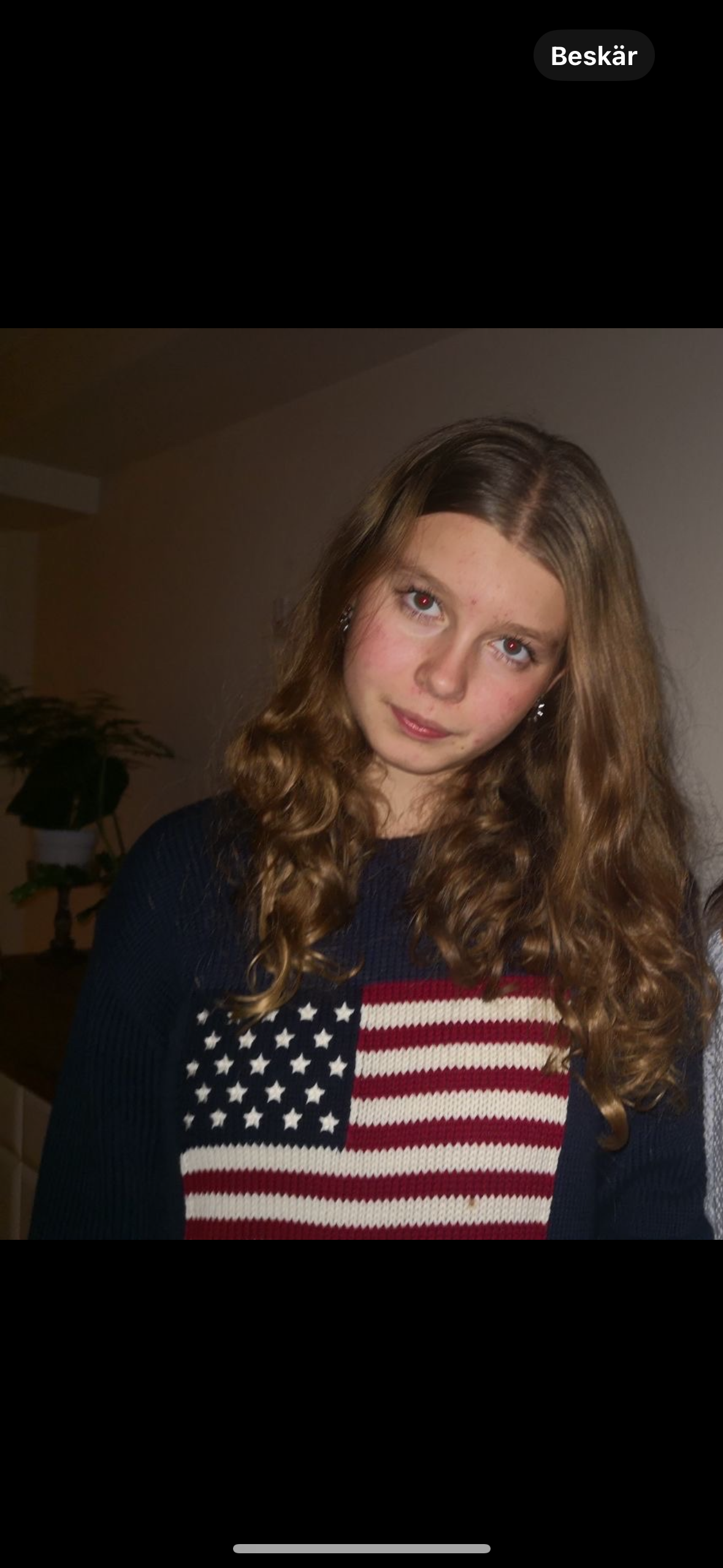 bild 4}