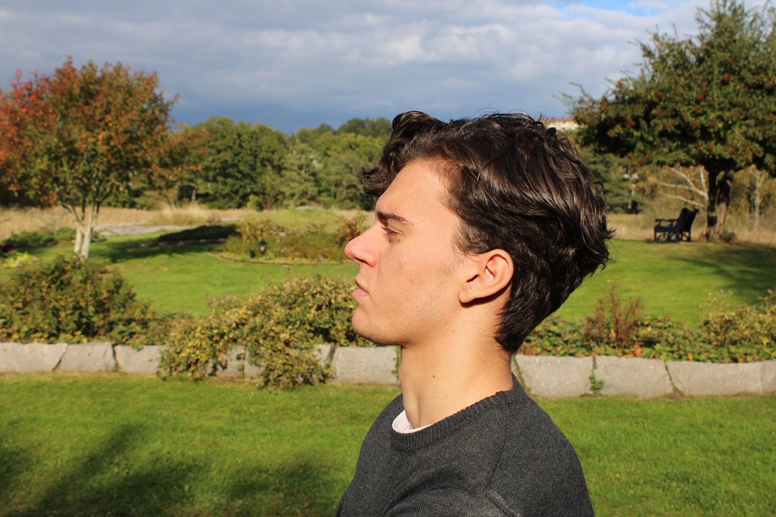 bild 0}