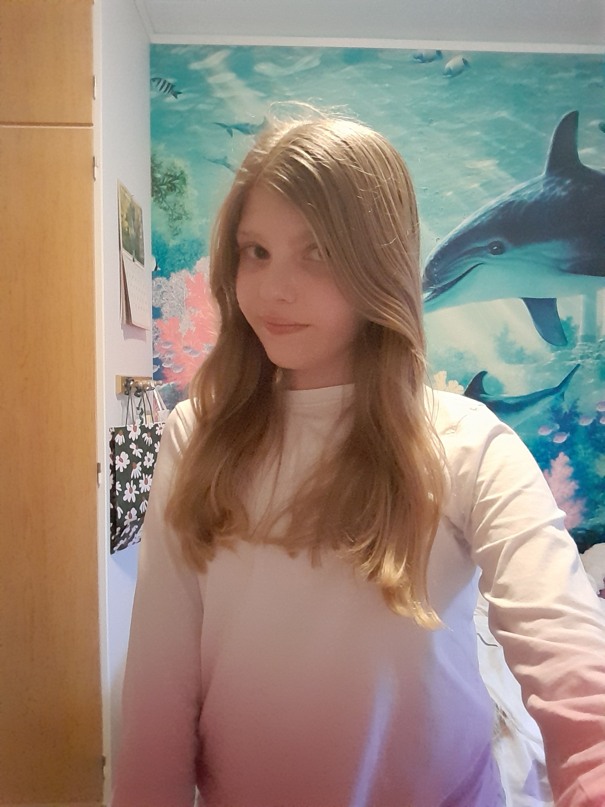 bild 3}