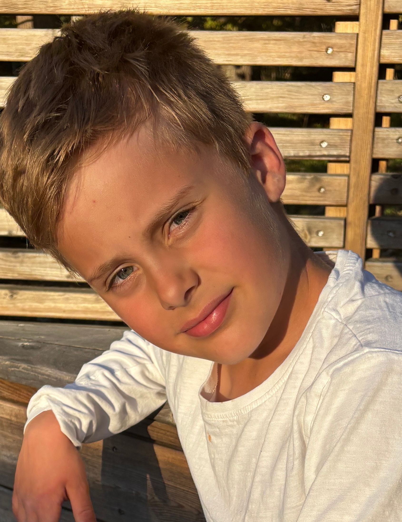 bild 1}