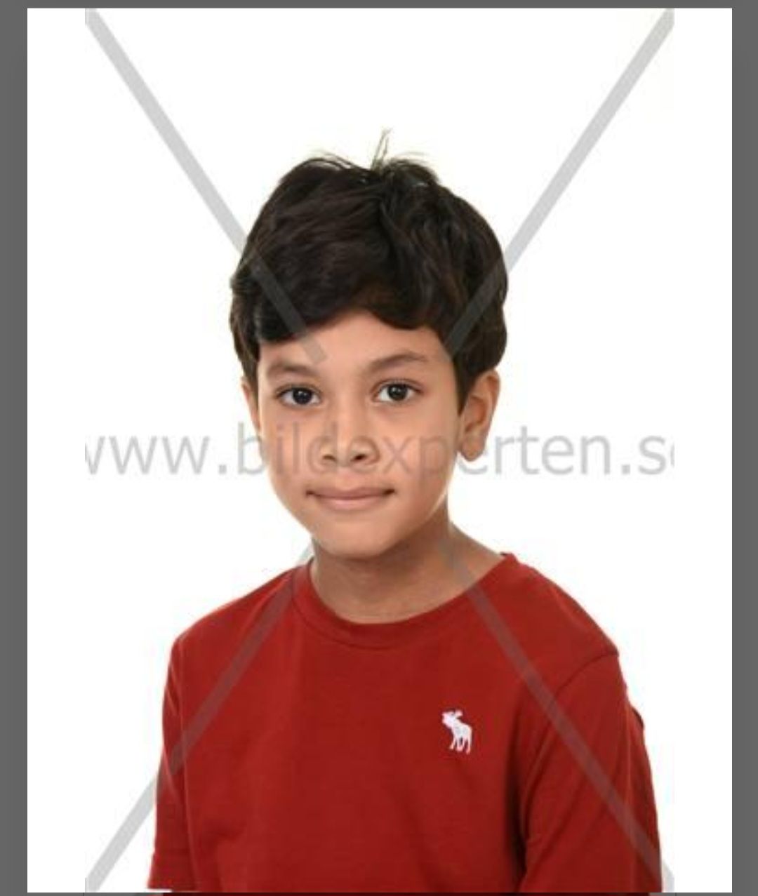 bild 2}