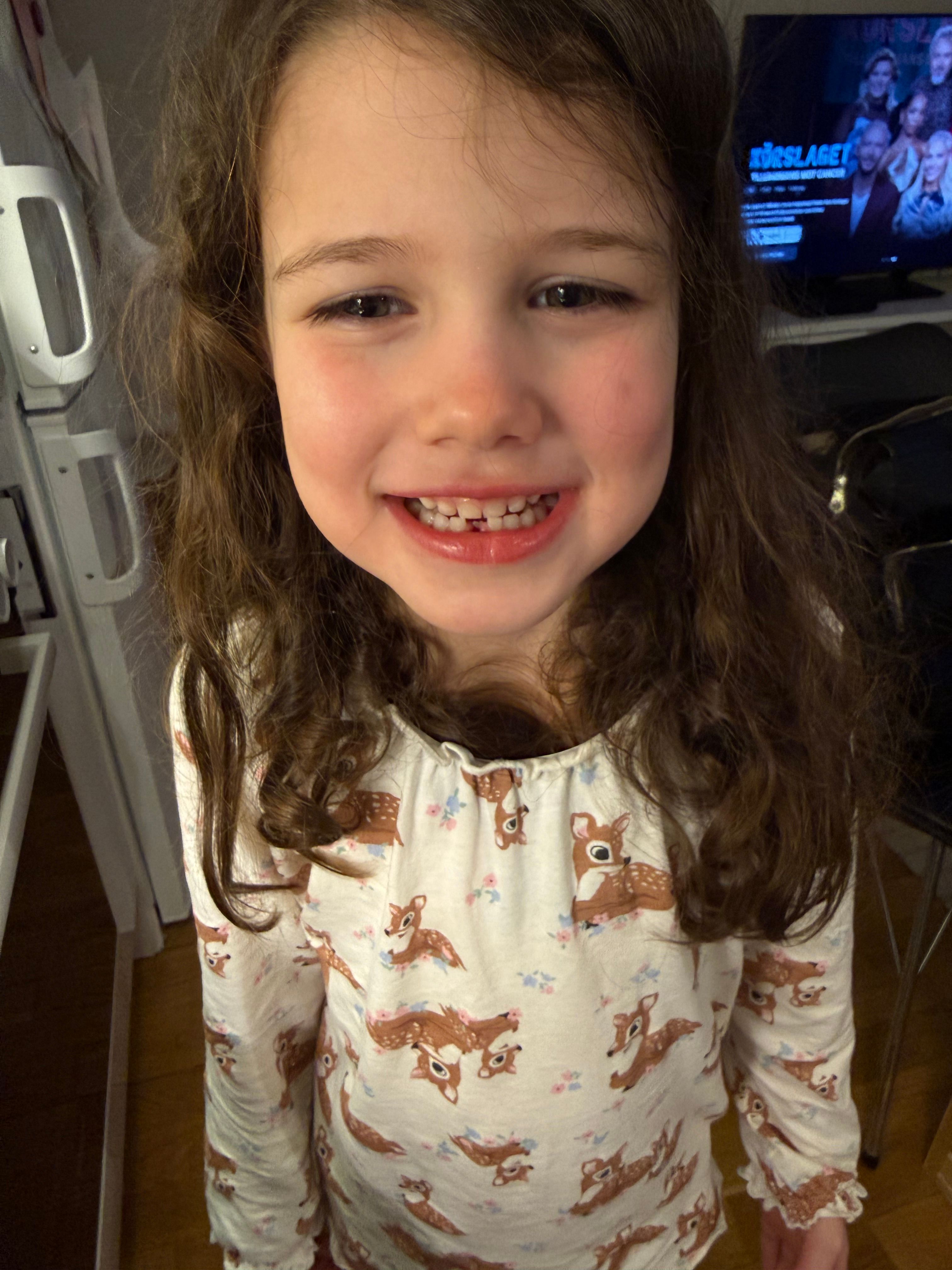 bild 2}