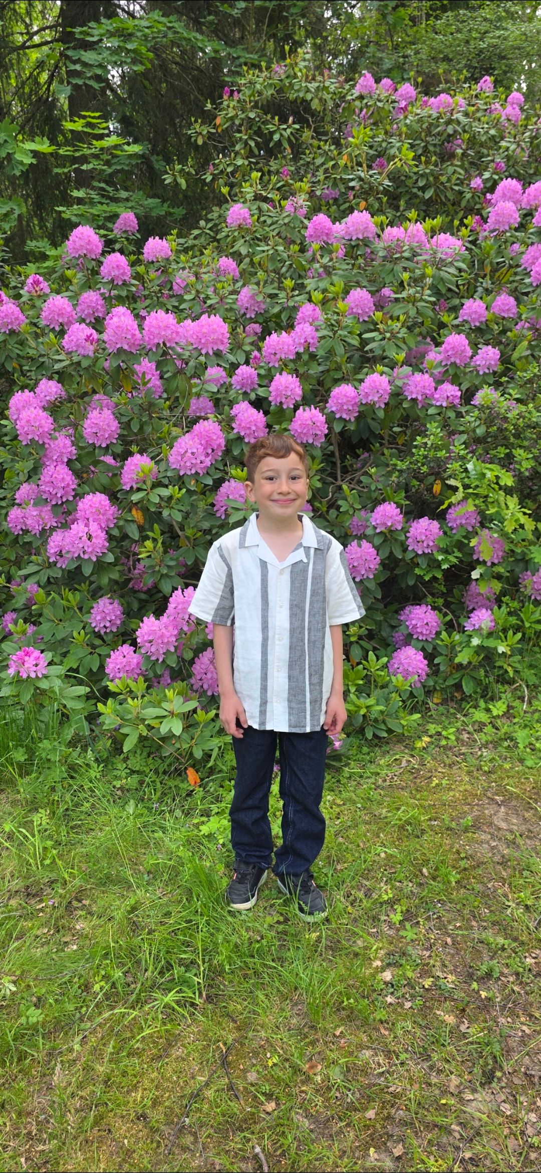 bild 0}