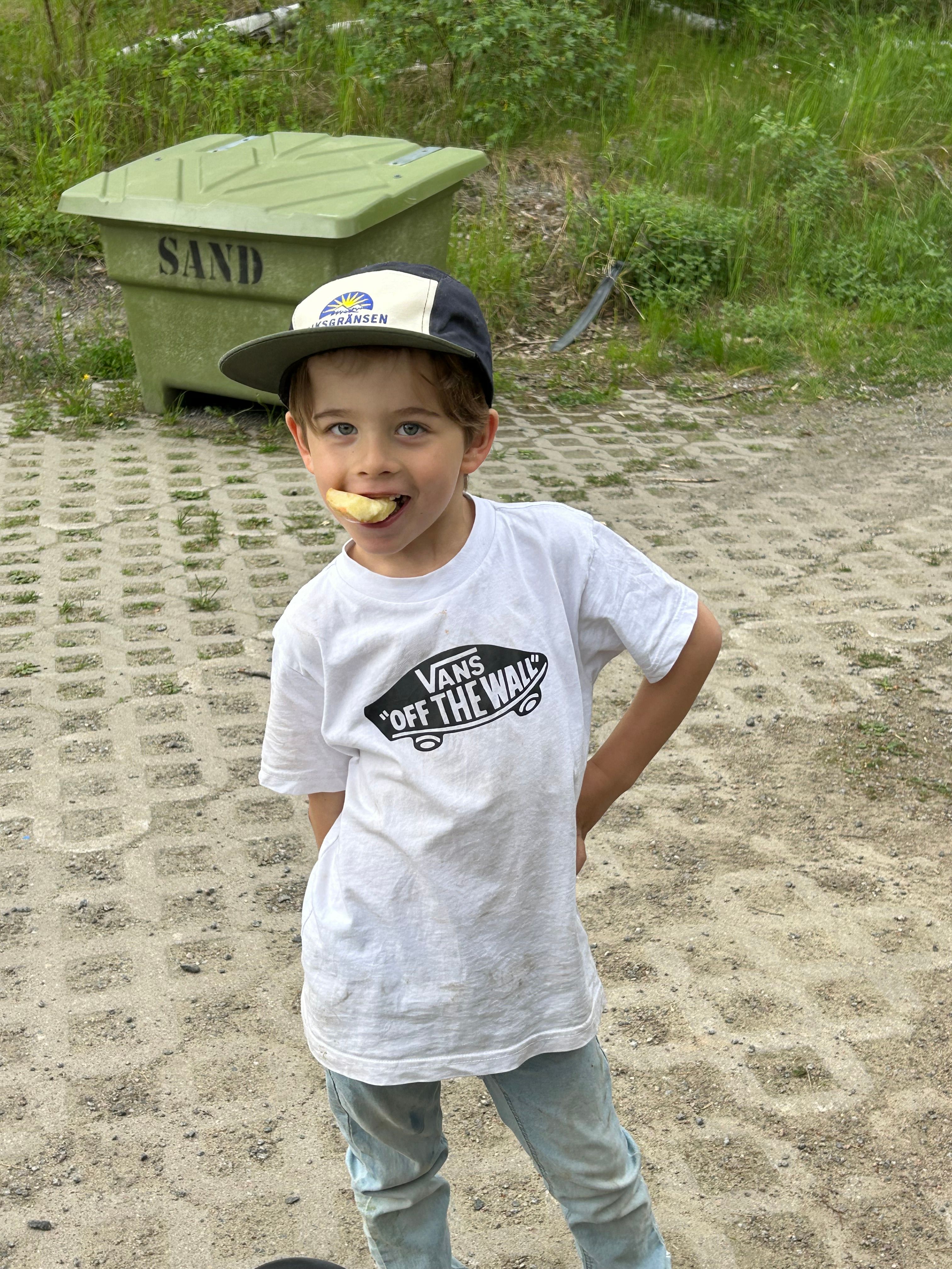 bild 1}