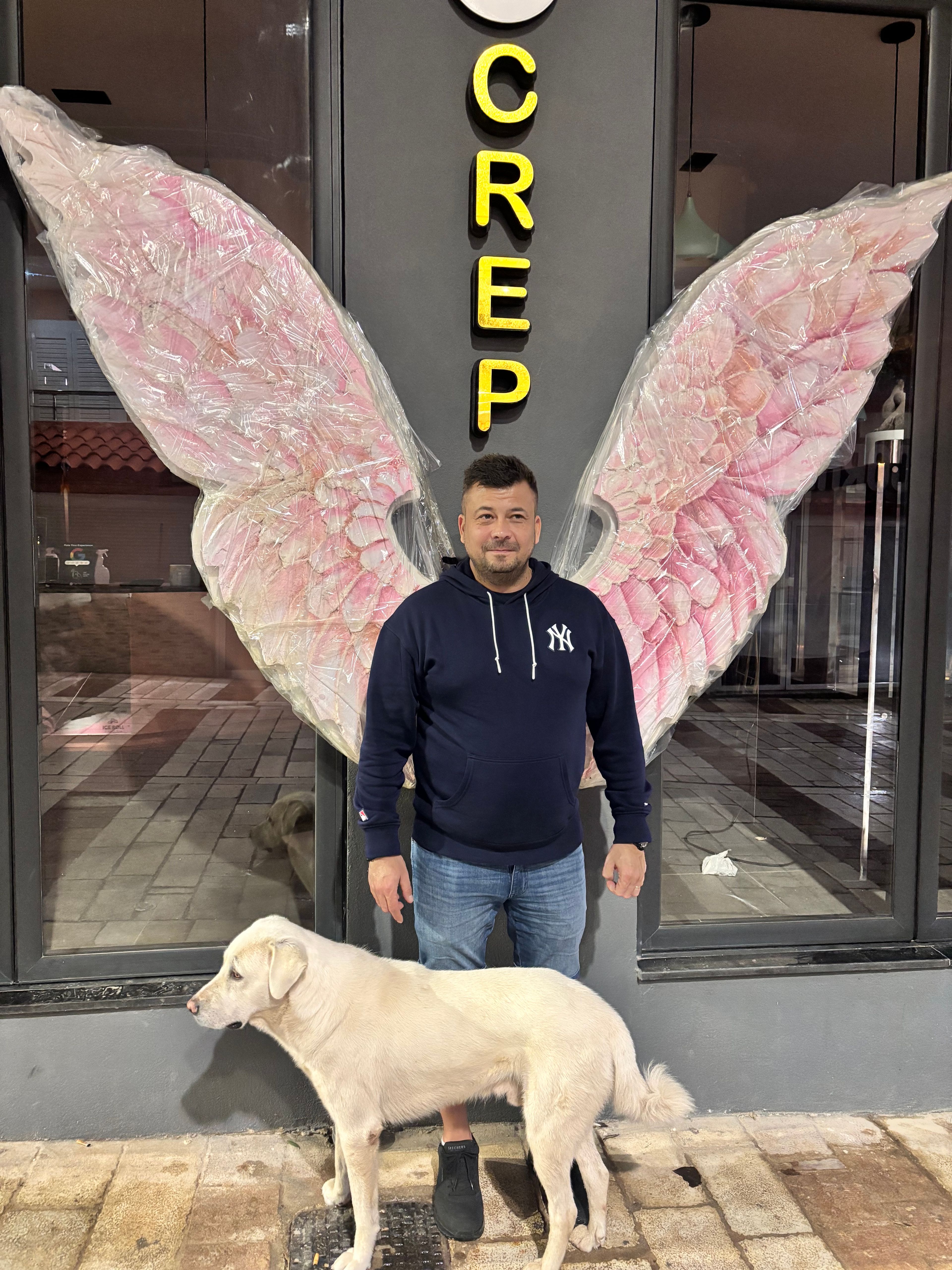 bild 0}