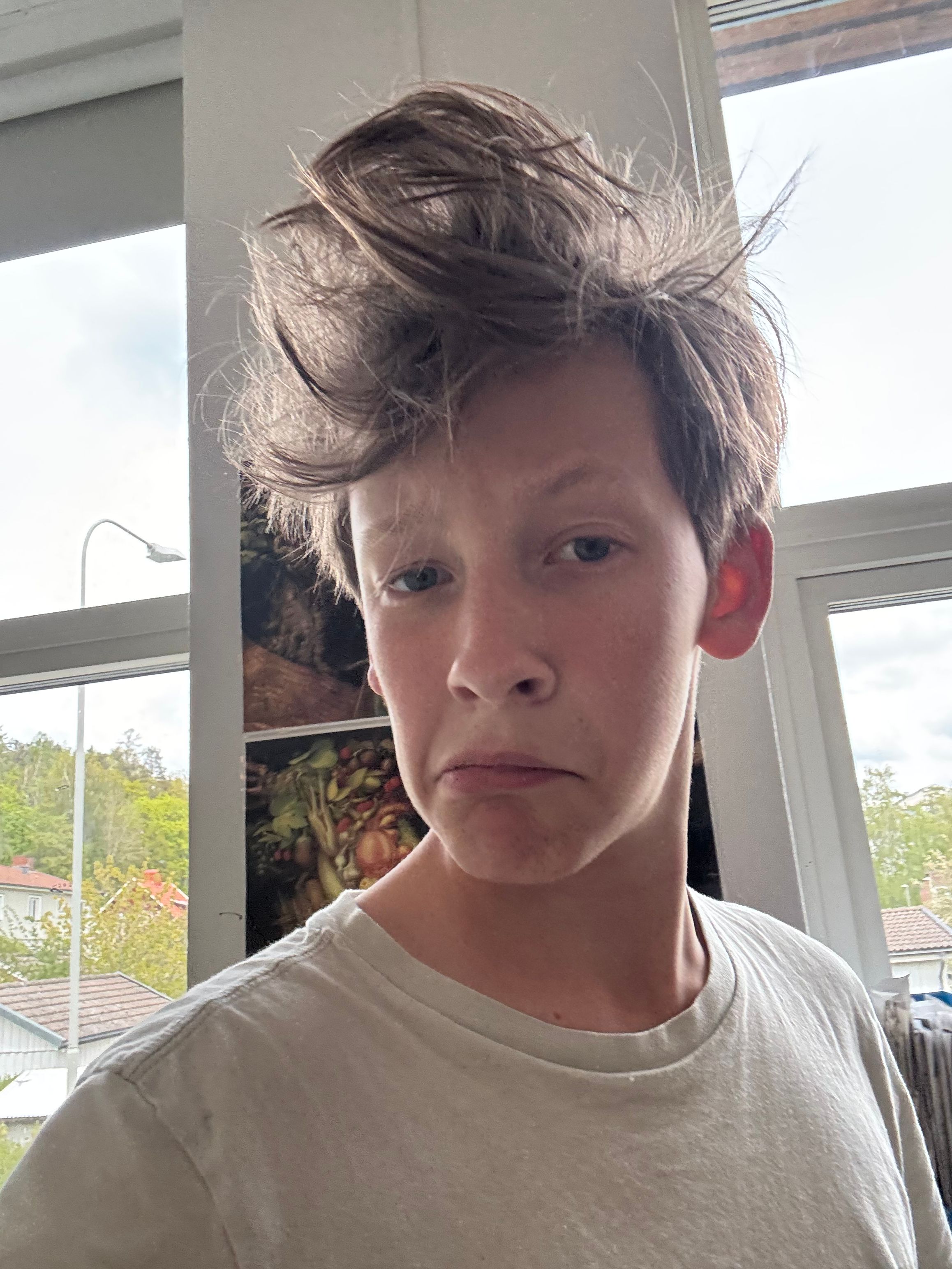 bild 3}
