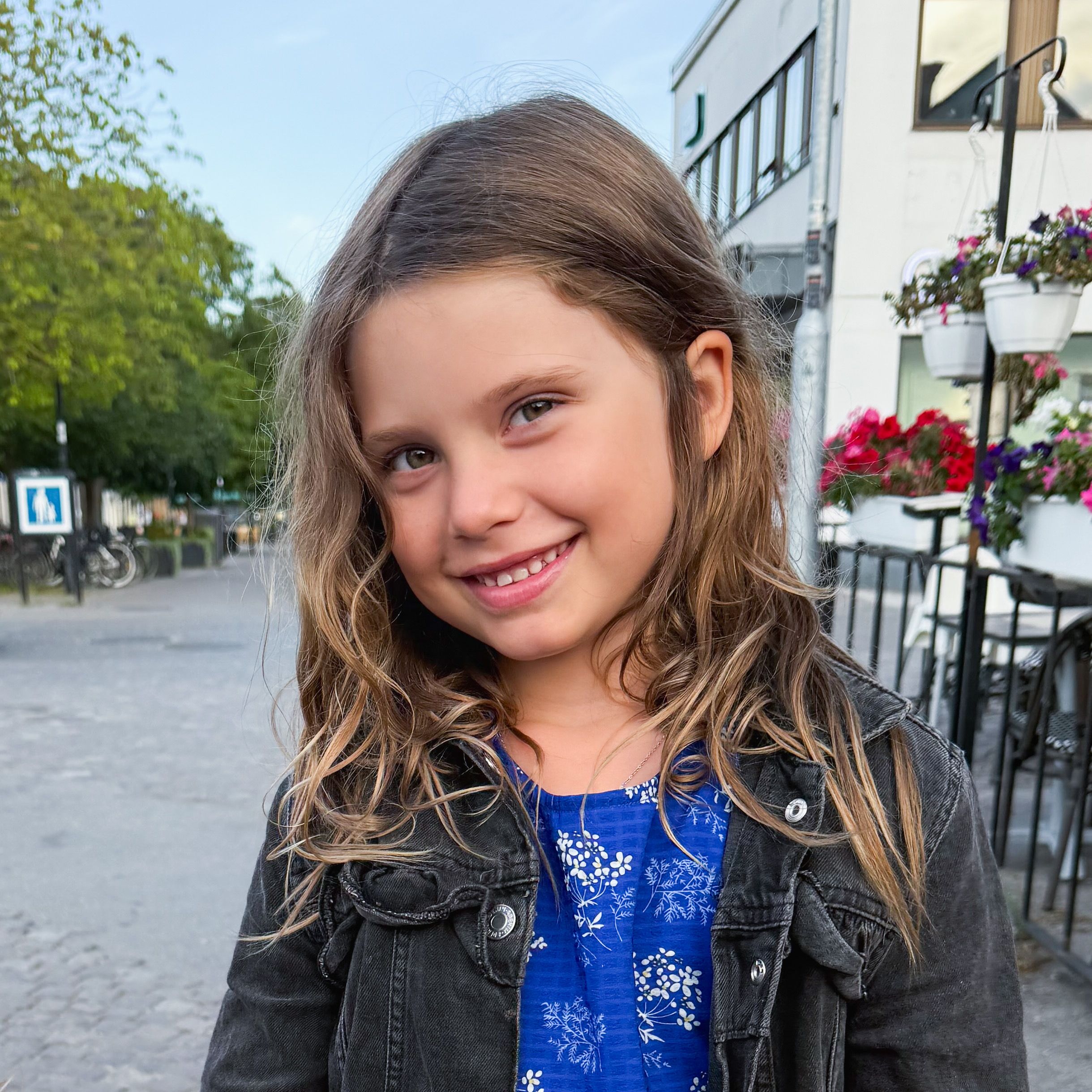 bild 2}