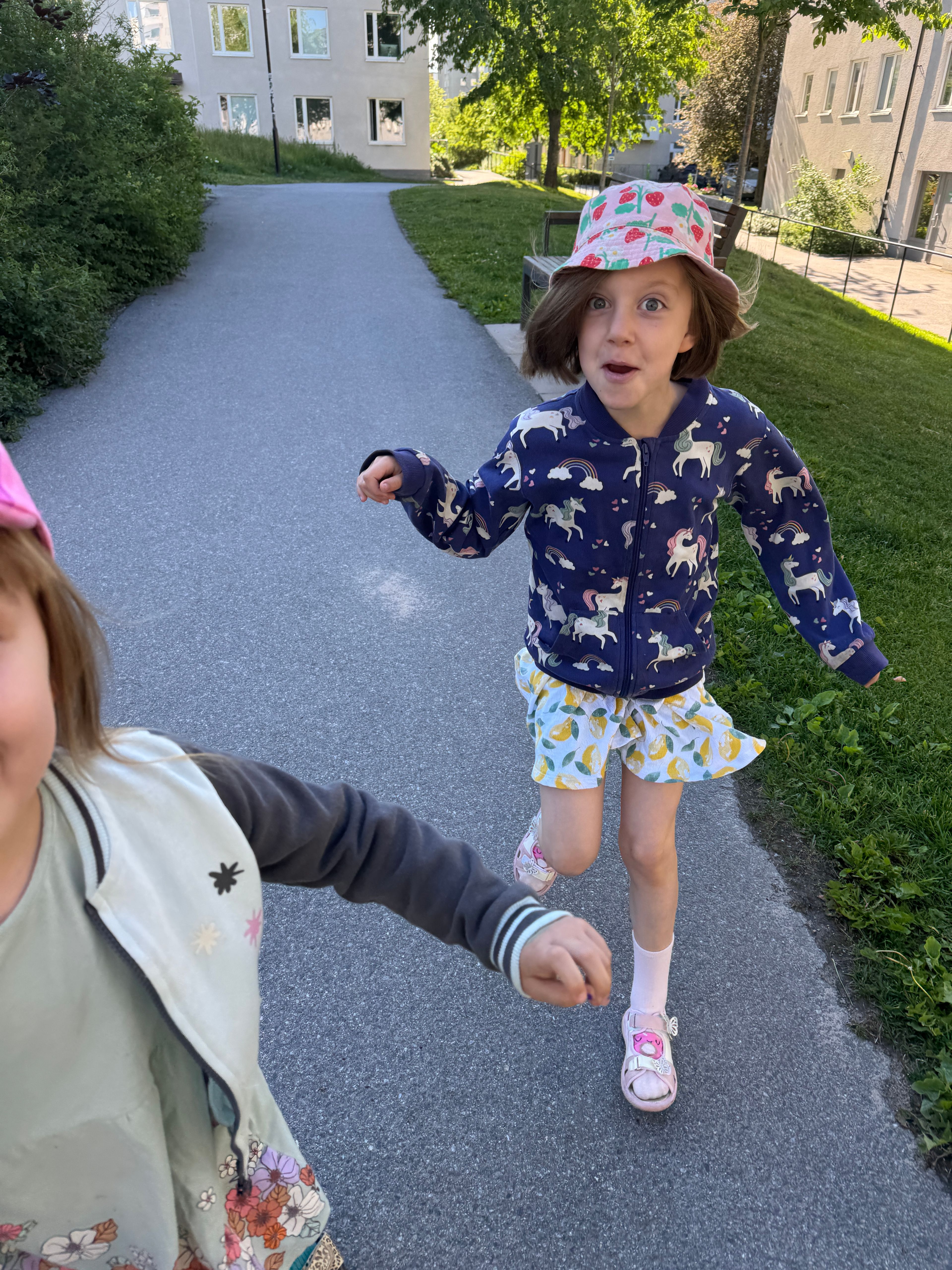 bild 4}