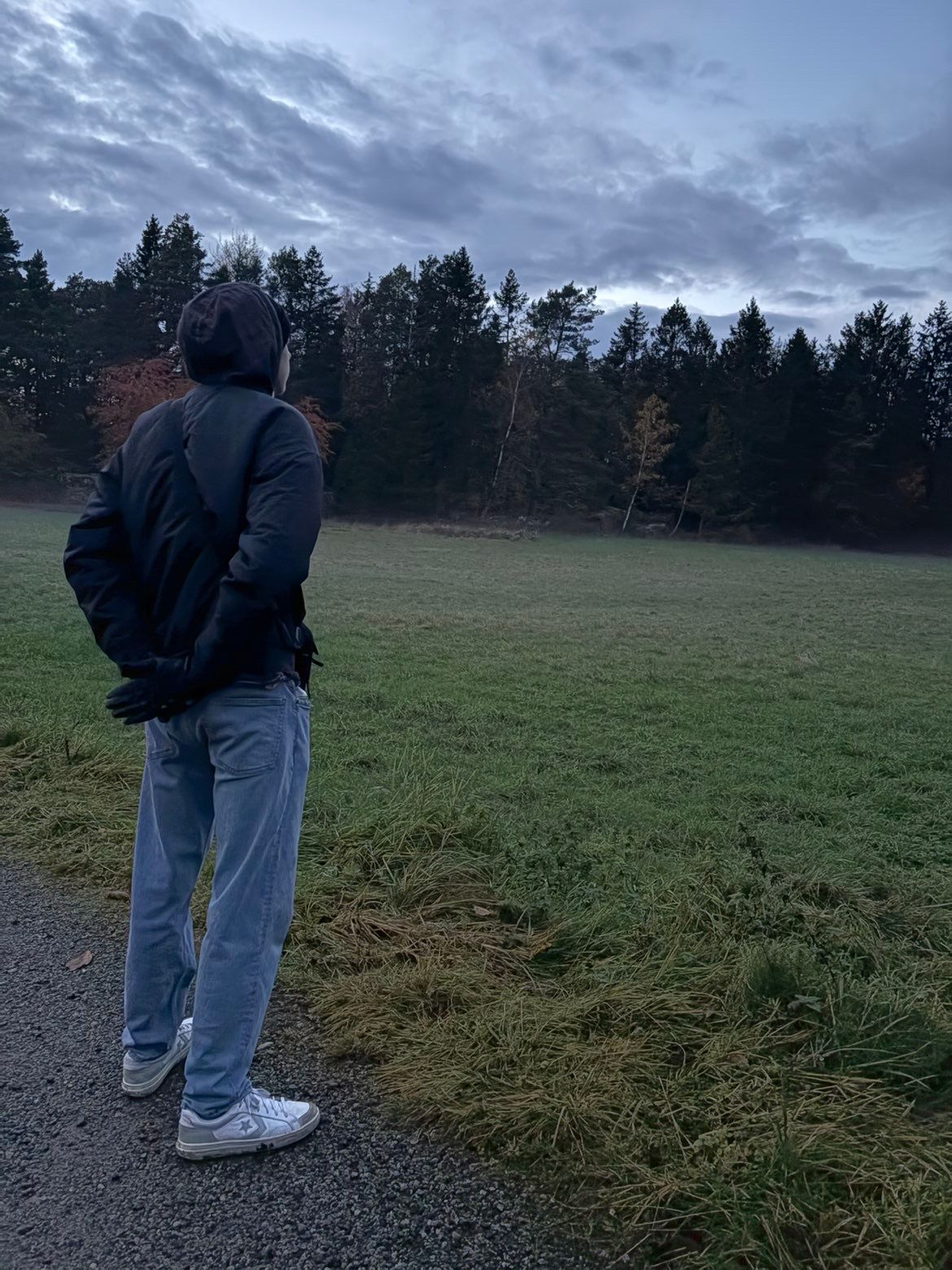 bild 0}