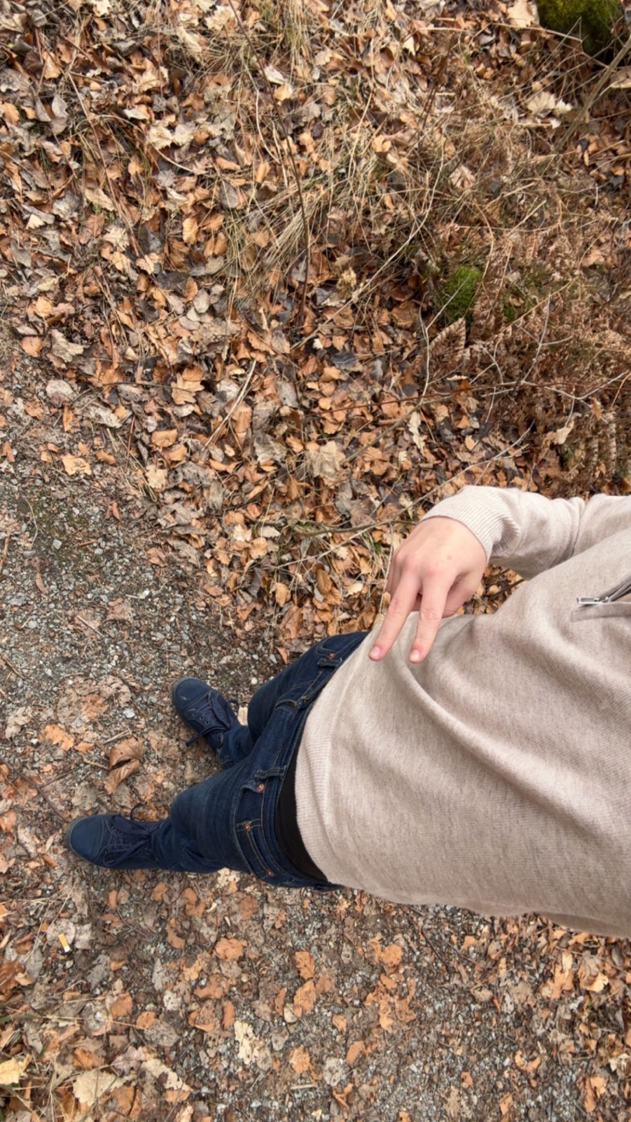 bild 2}