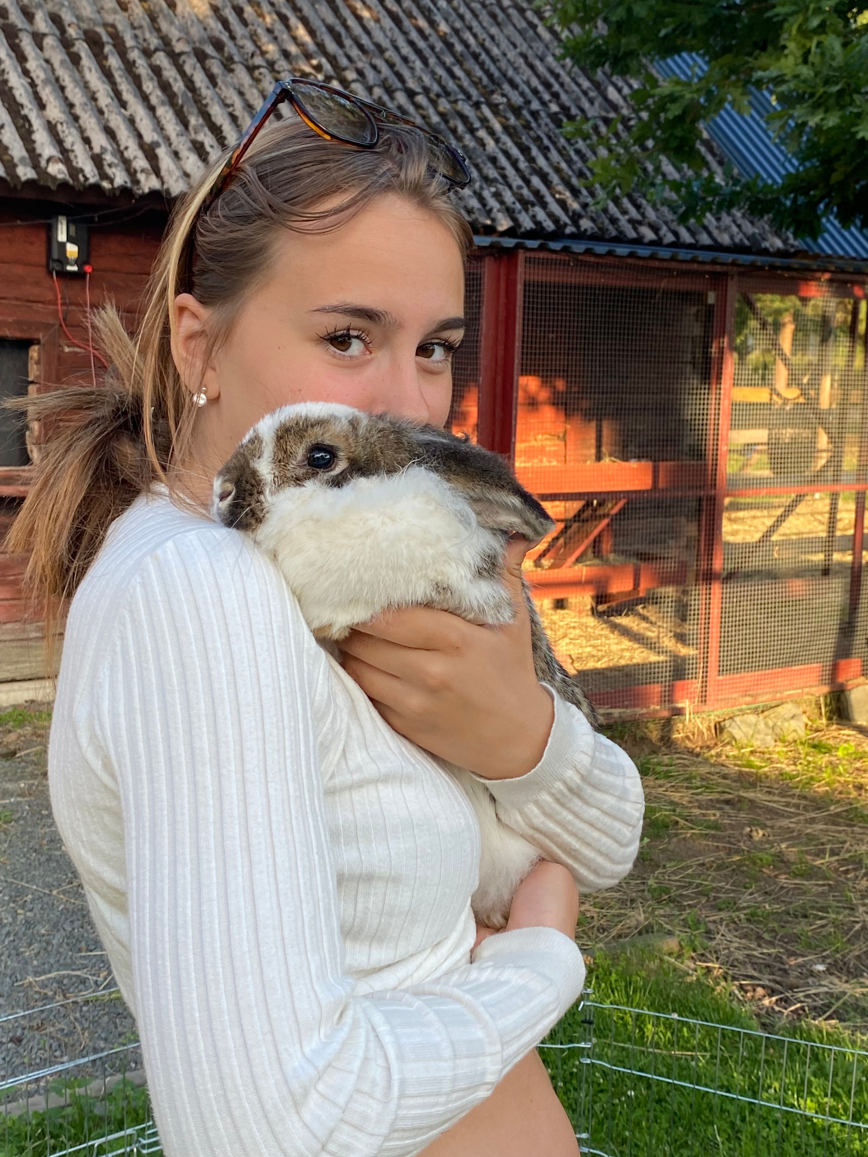 bild 3}