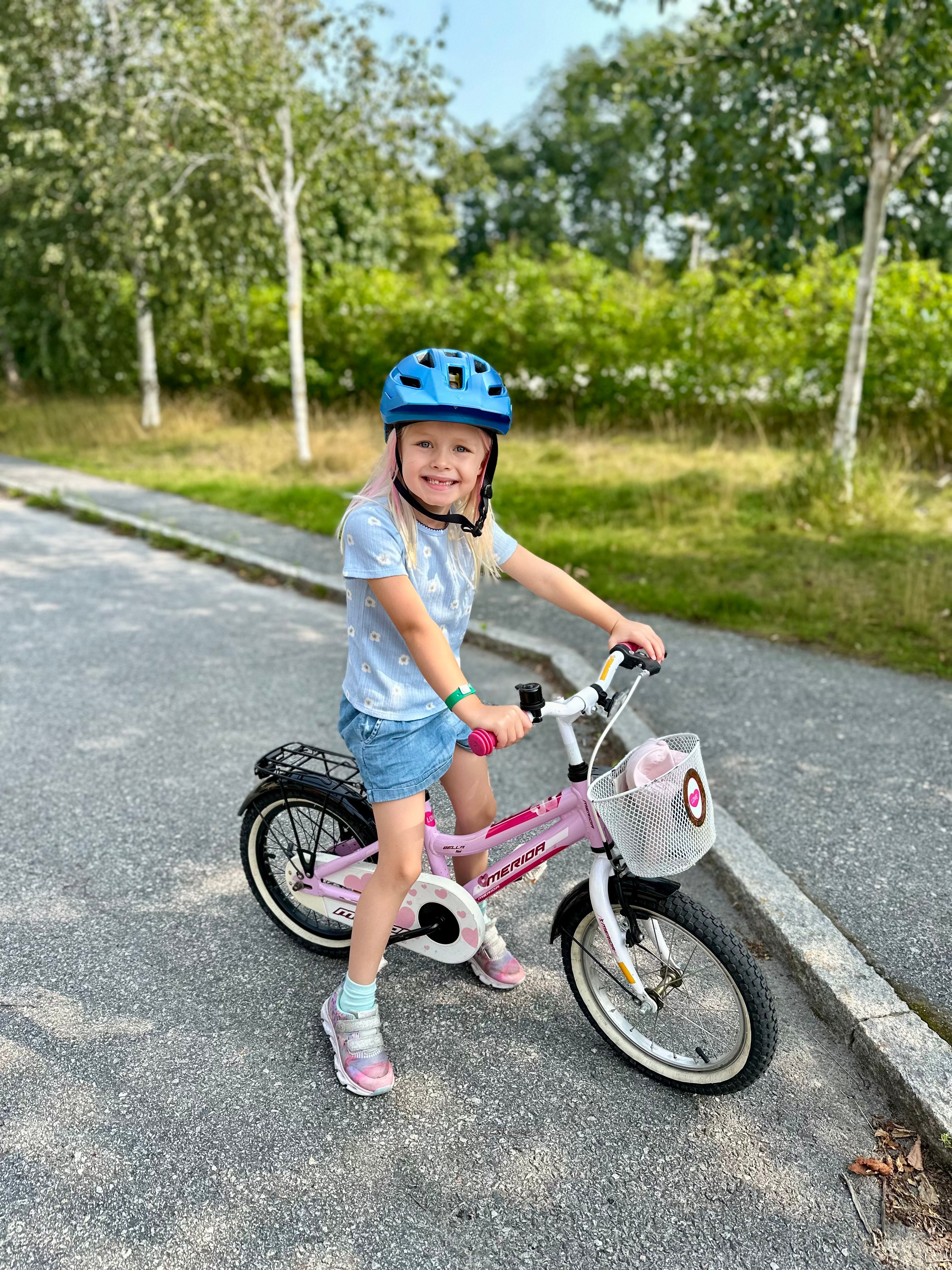 bild 3}