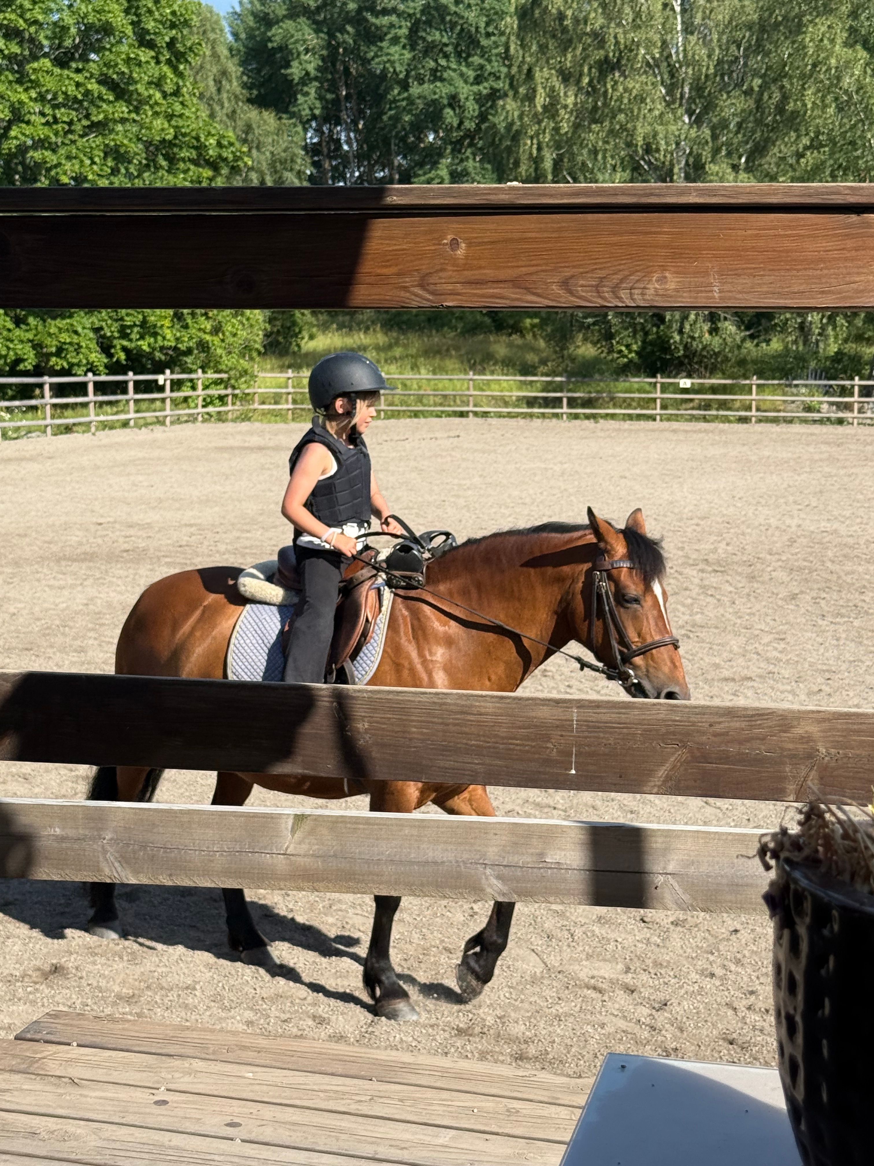 bild 0}