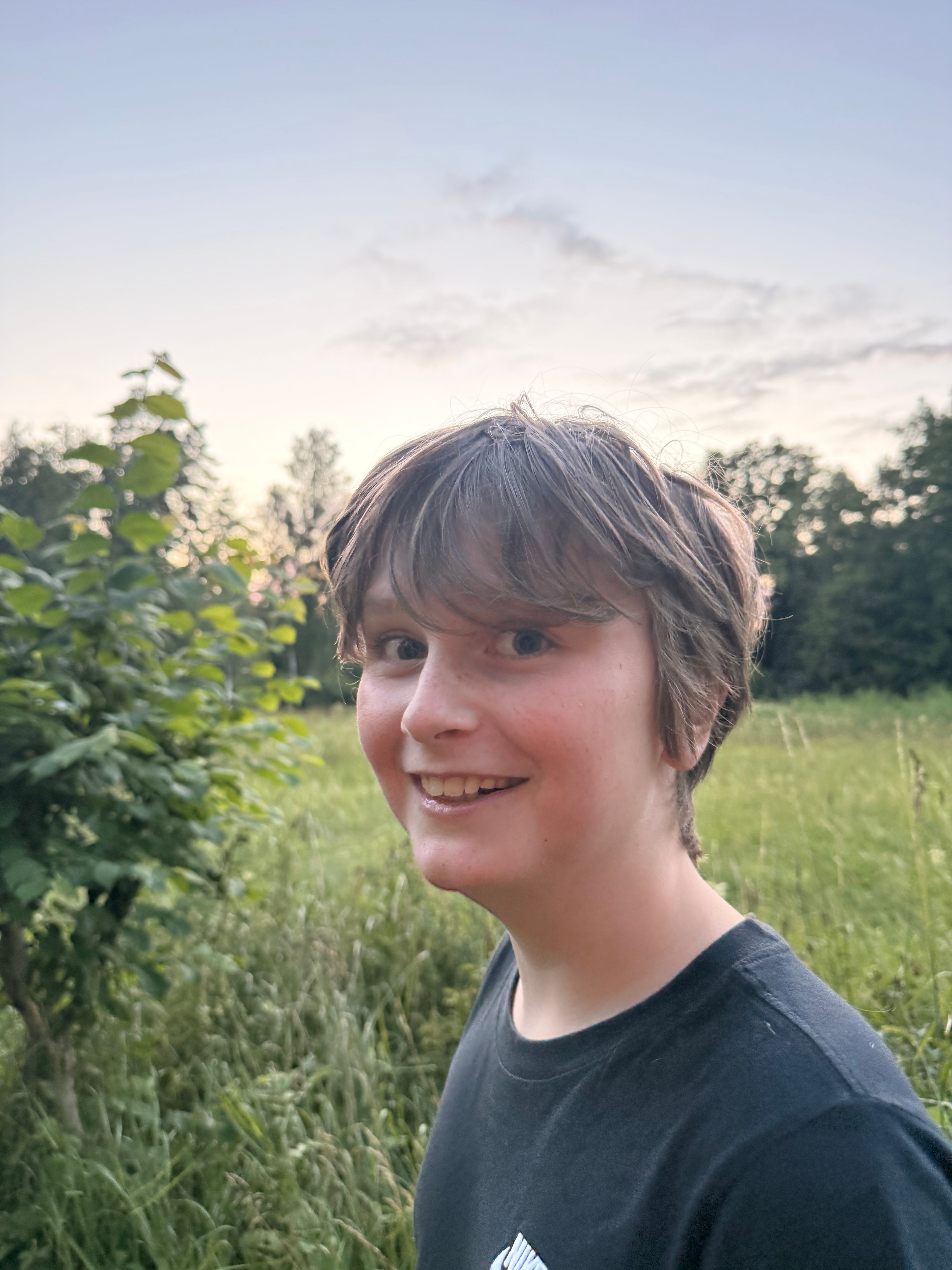 bild 2}