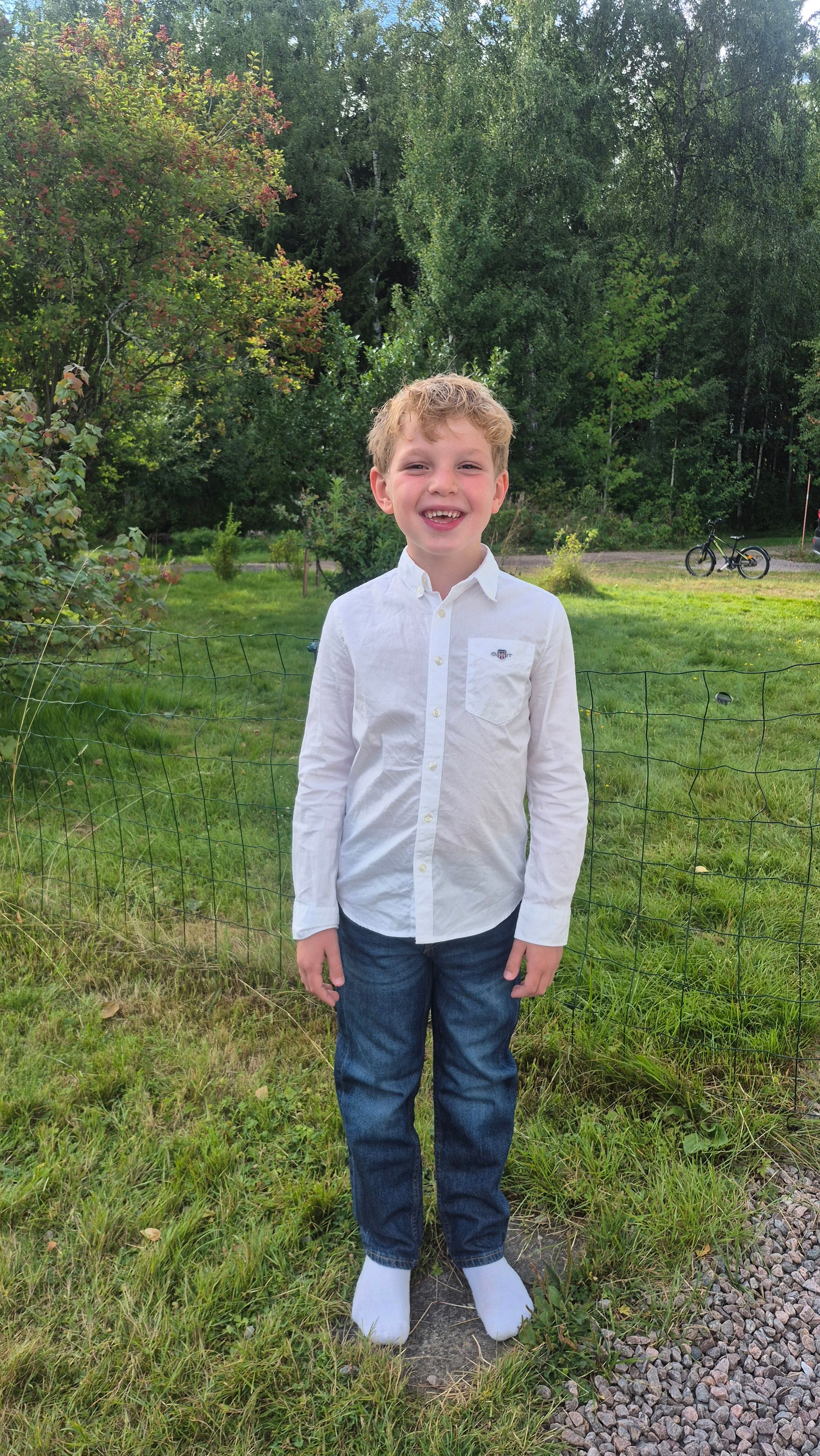 bild 2}