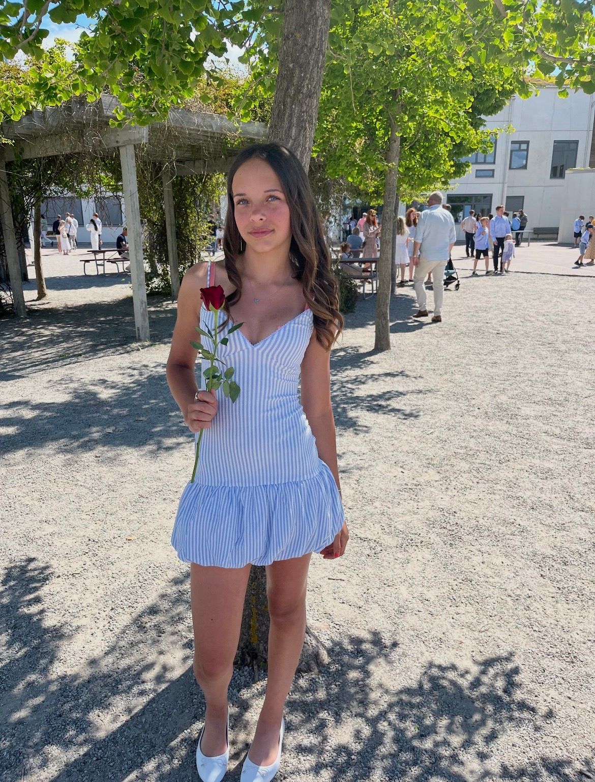 bild 0}