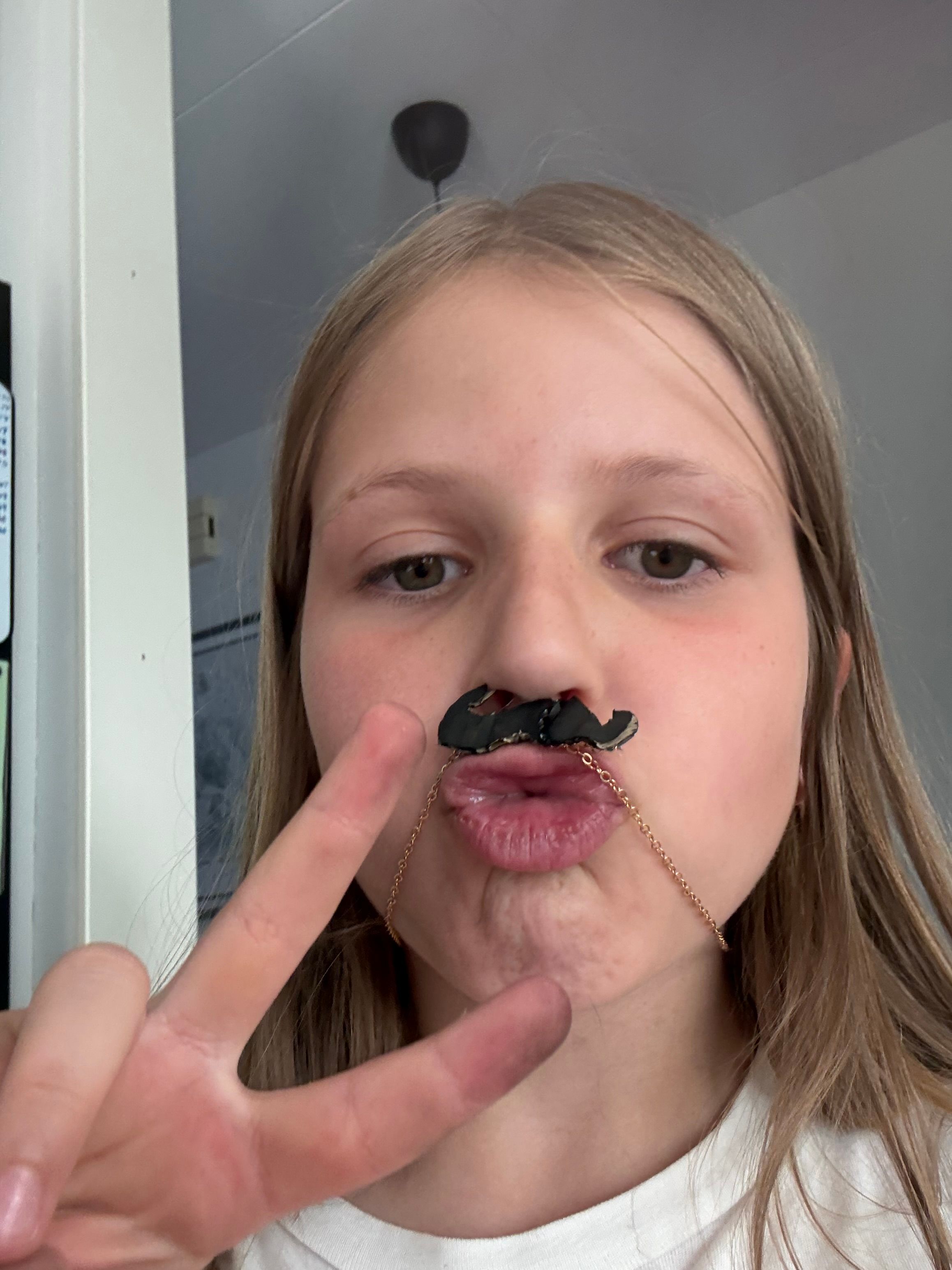 bild 2}