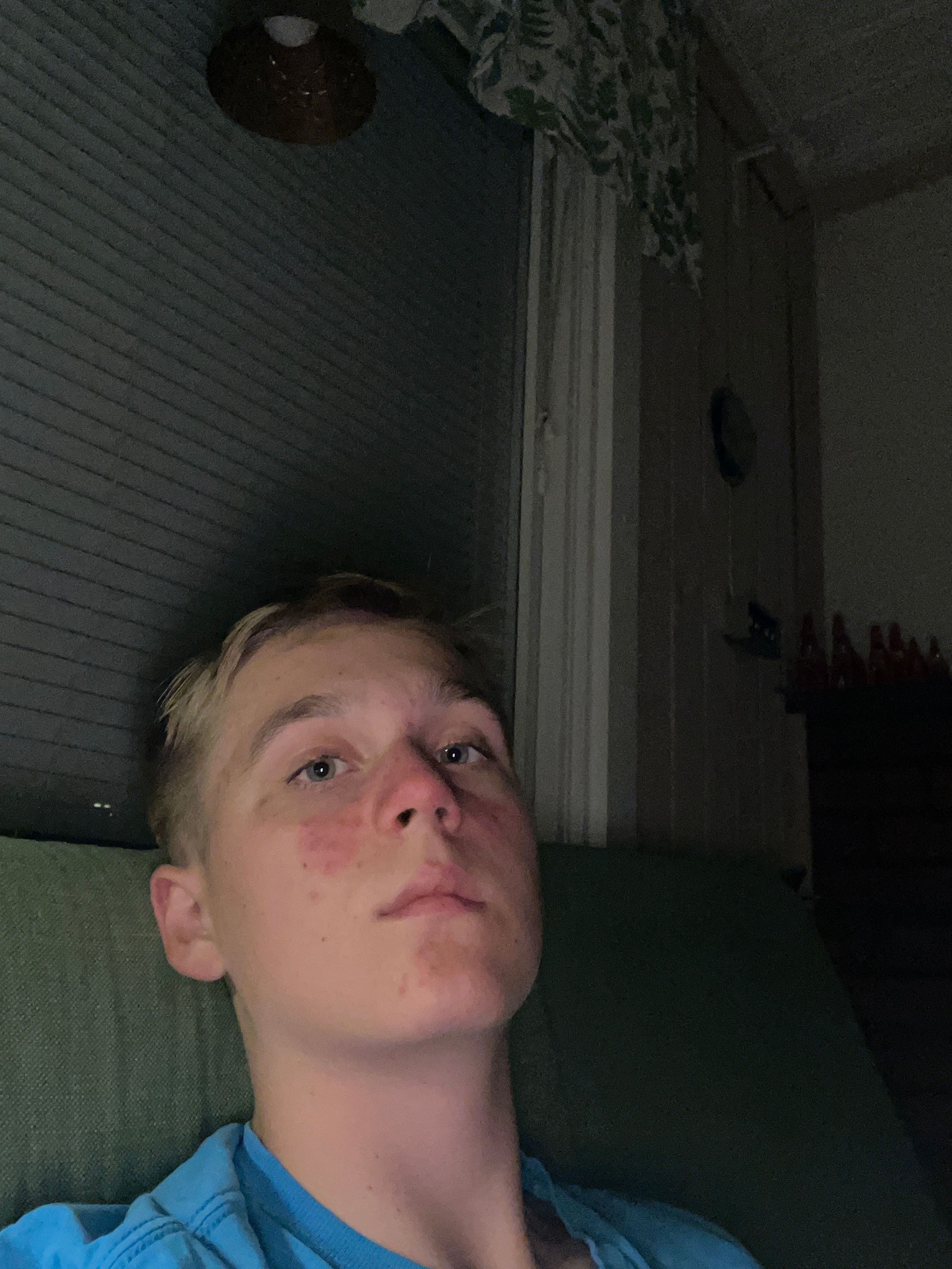 bild 0}