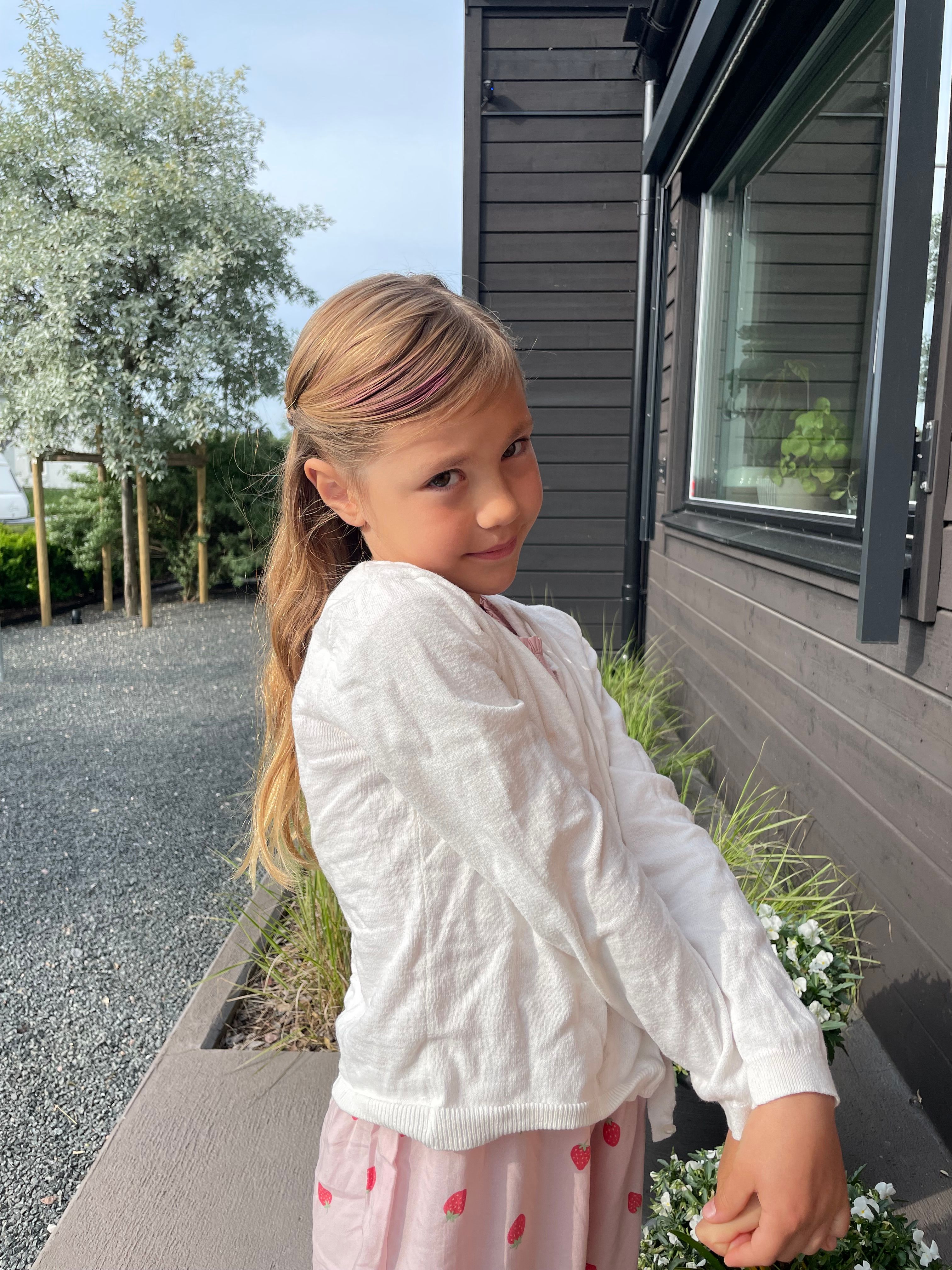 bild 2}